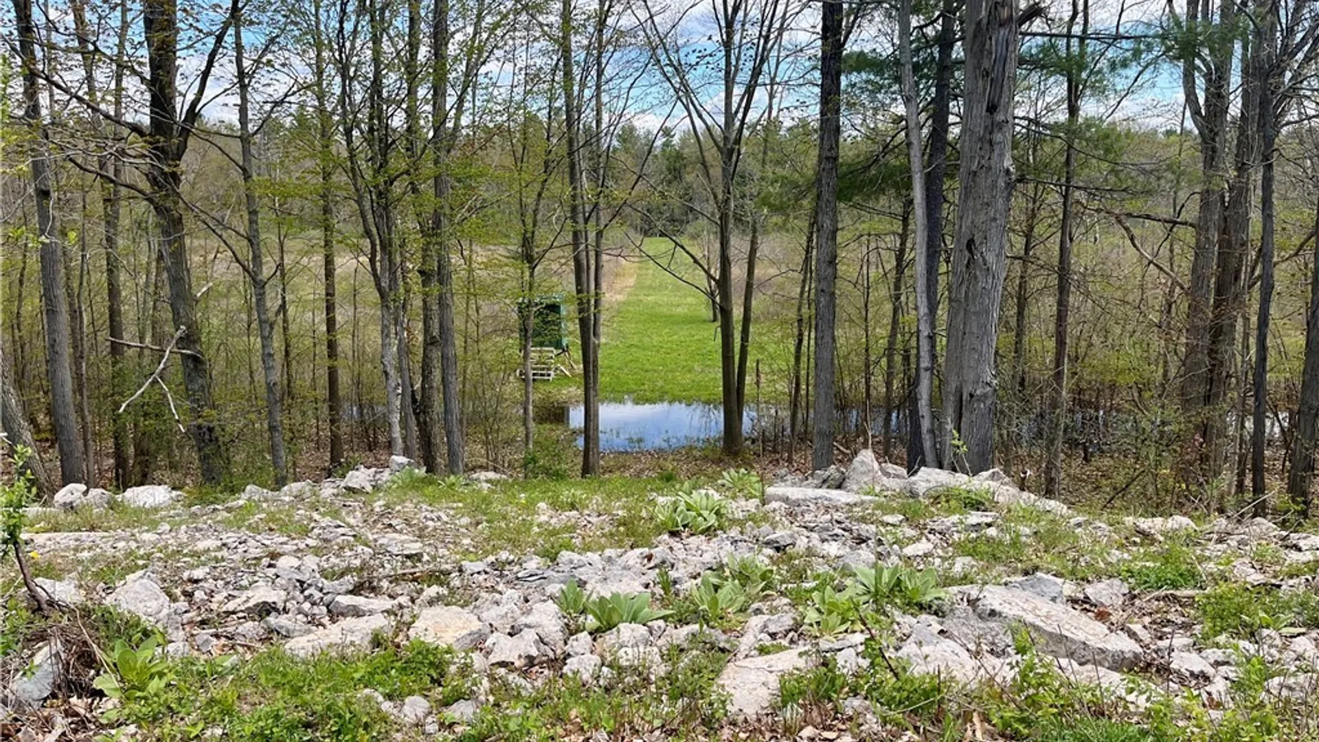 Property at Thompson Trail Drive, Brownville, NY 13634 10