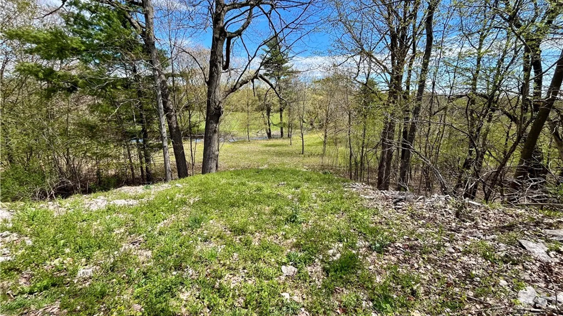Property at Thompson Trail Drive, Brownville, NY 13634 25