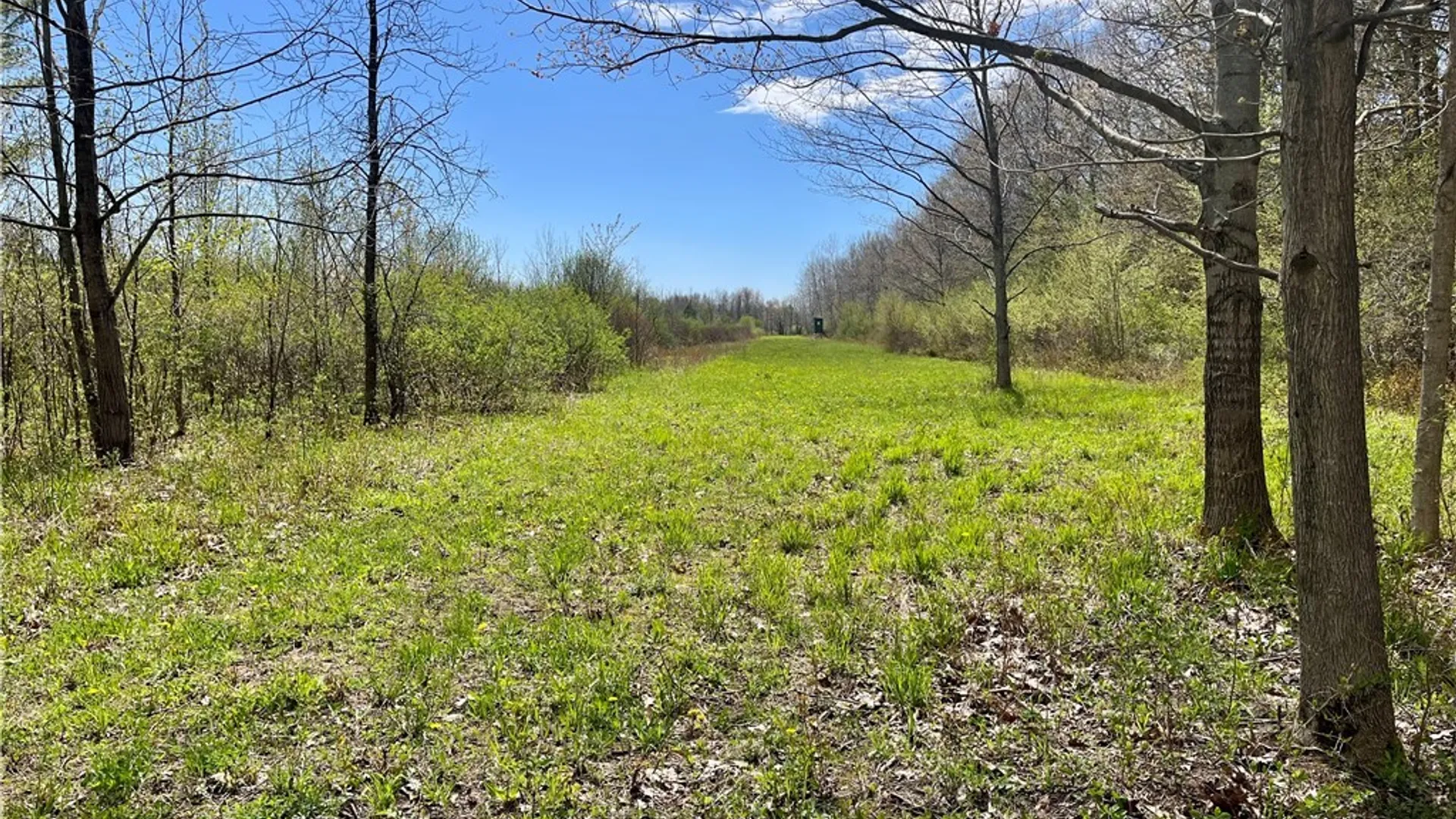 Property at Thompson Trail Drive, Brownville, NY 13634 26