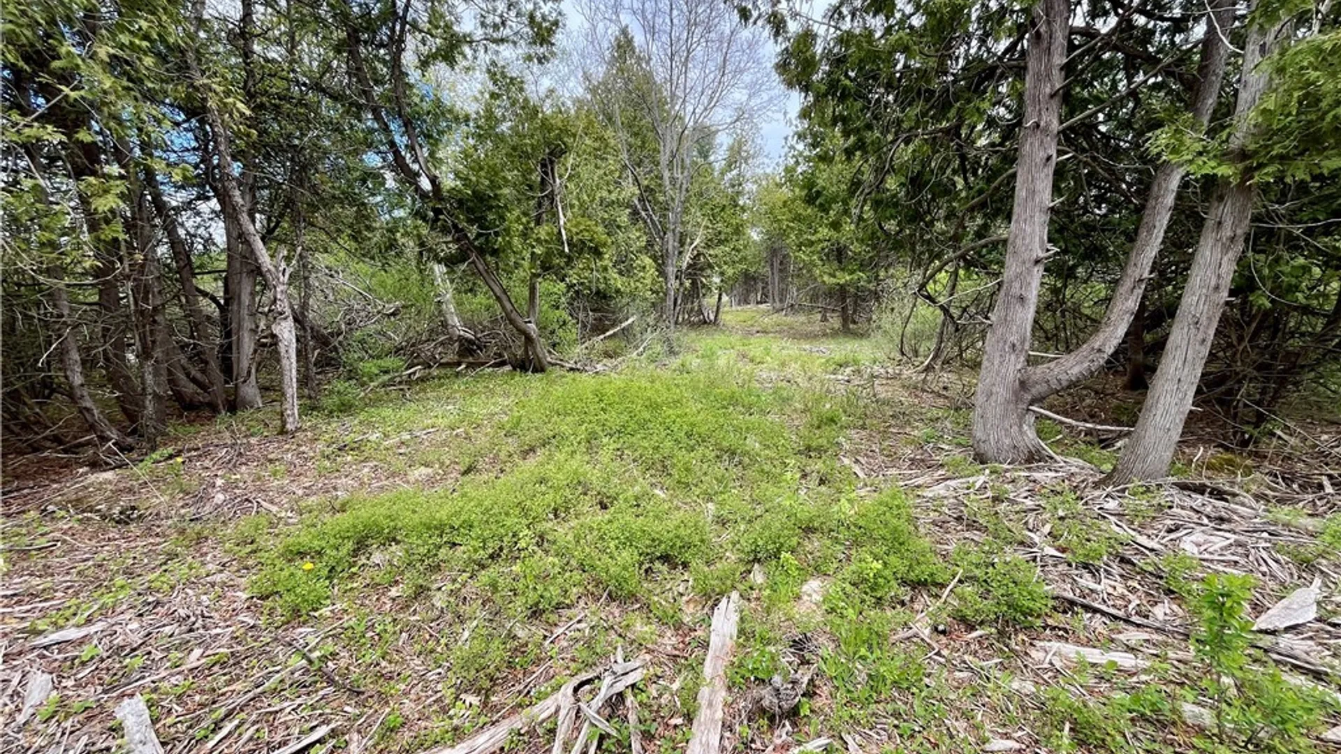 Property at Lot 4 Thompson Trail Drive, Brownville, NY 13634 3