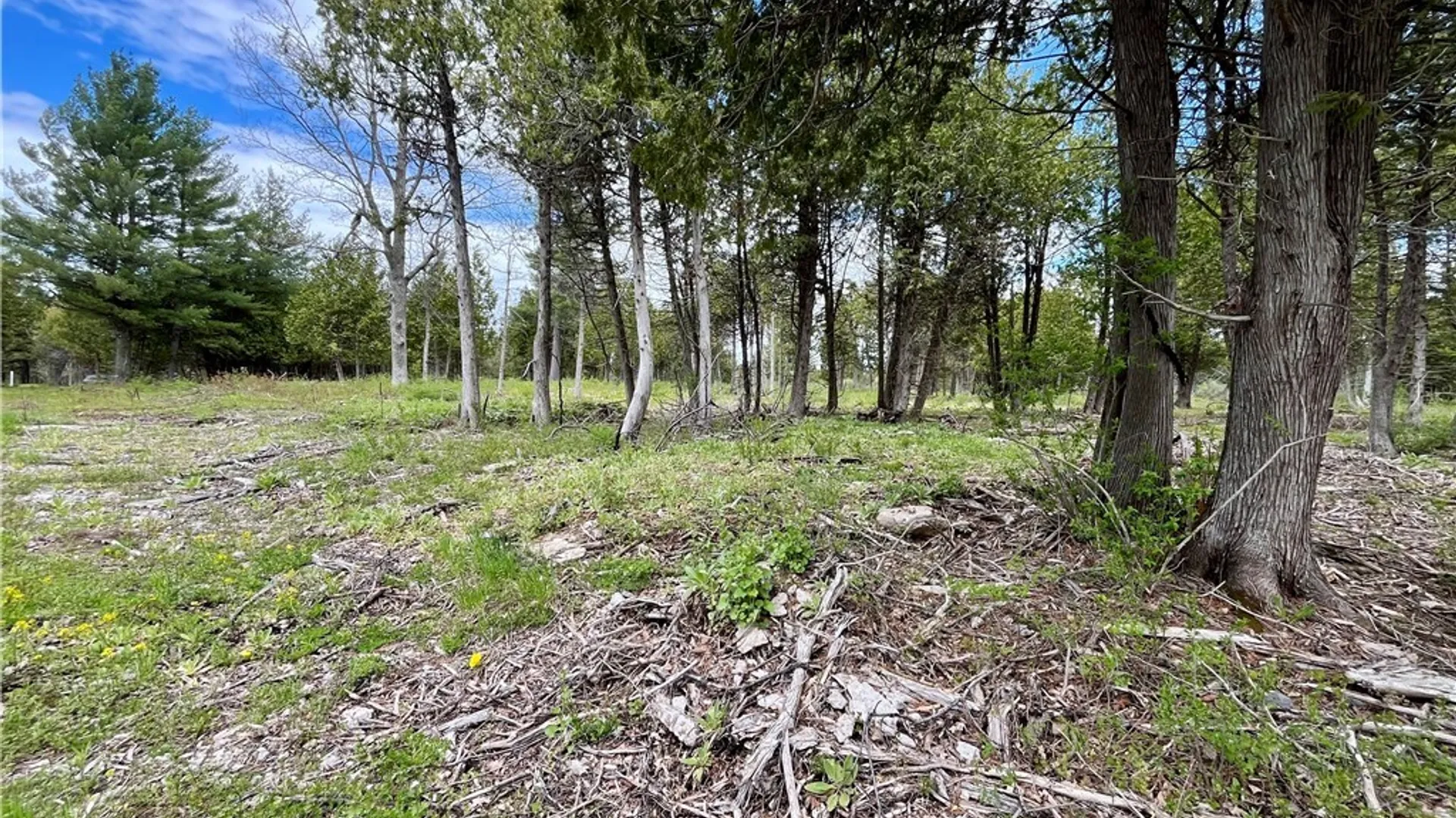 Property at Lot 2A Thompson Trail Drive, Brownville, NY 13634 10