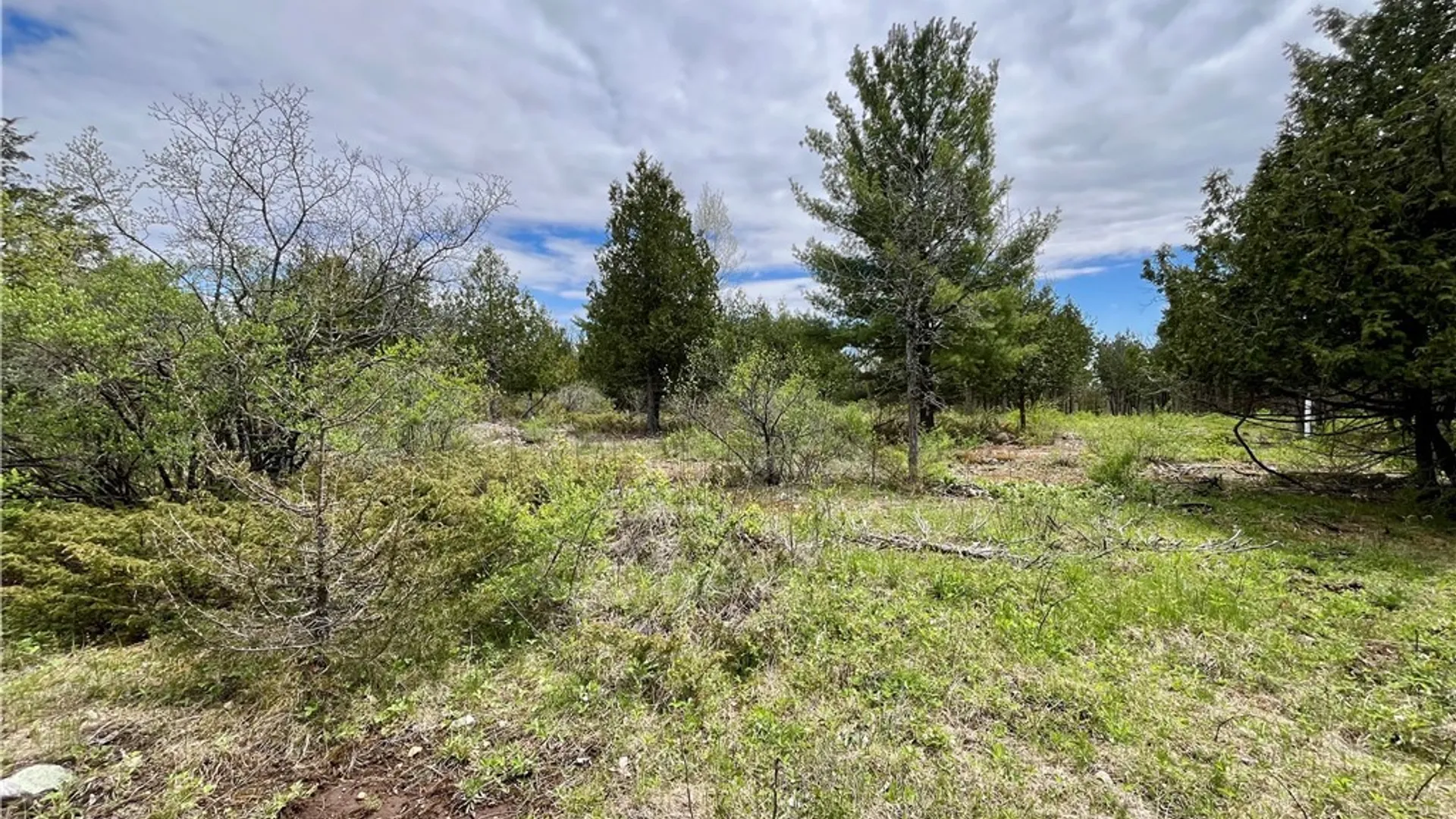Property at Lot 2A Thompson Trail Drive, Brownville, NY 13634 12