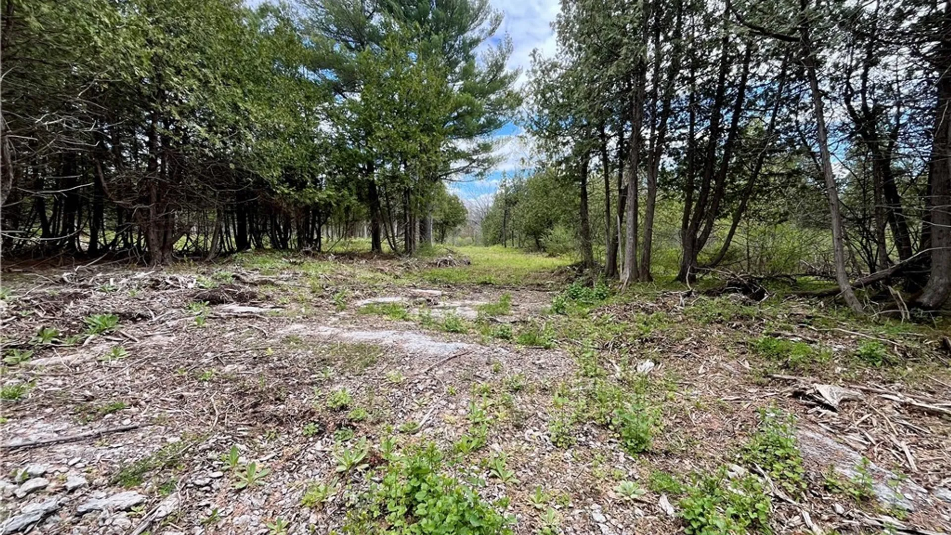 Property at Lot 2A Thompson Trail Drive, Brownville, NY 13634 8