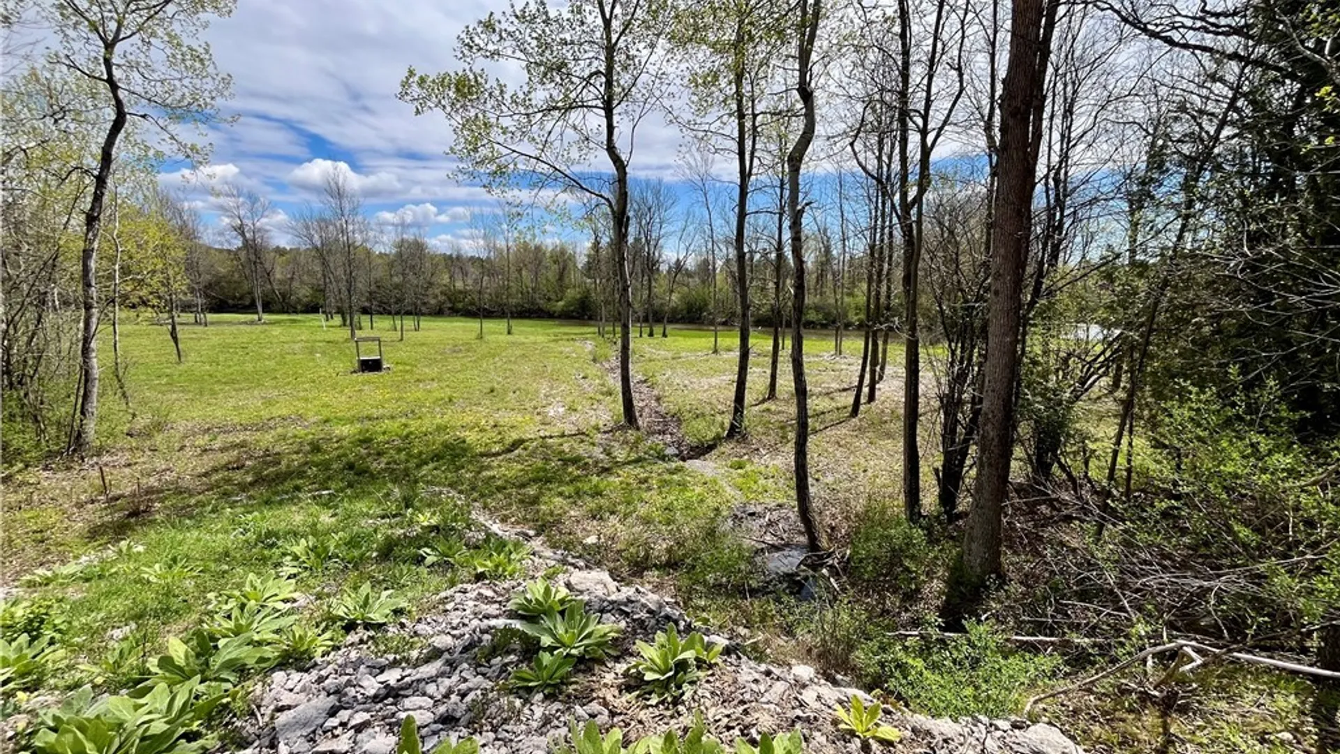 Property at Lot 2B Thompson Trail Drive, Brownville, NY 13634 11