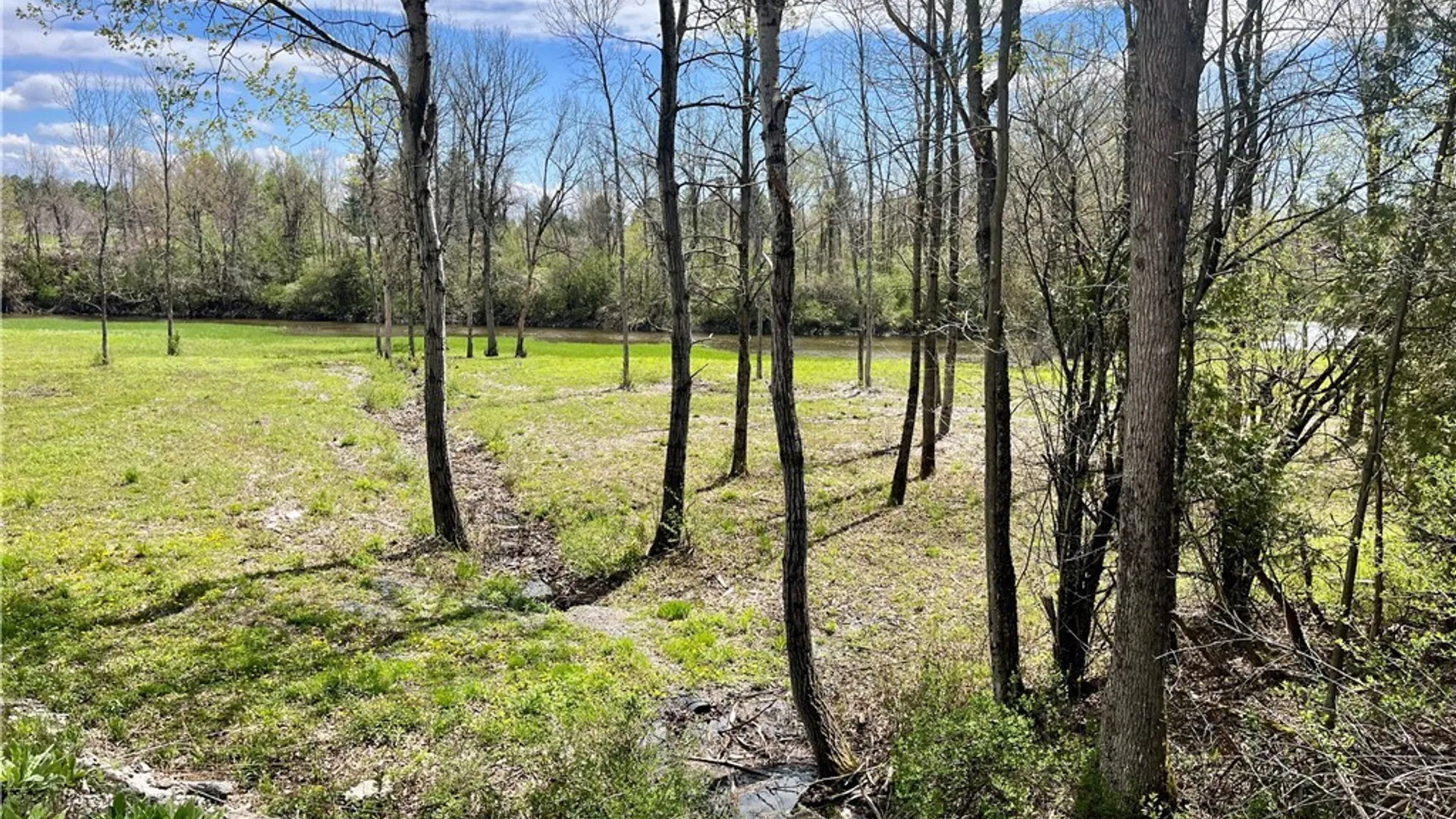 Property at Lot 2B Thompson Trail Drive, Brownville, NY 13634 12