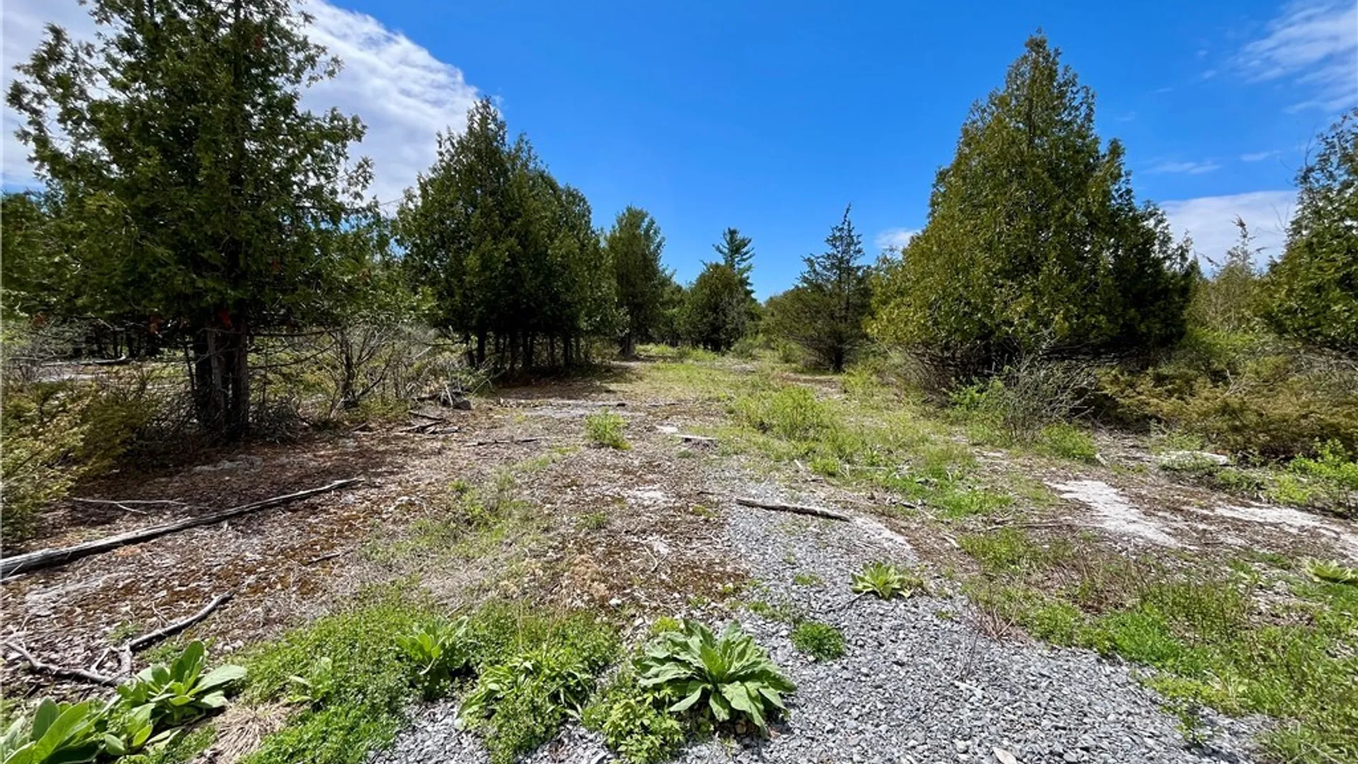 Property at Lot 2B Thompson Trail Drive, Brownville, NY 13634 9