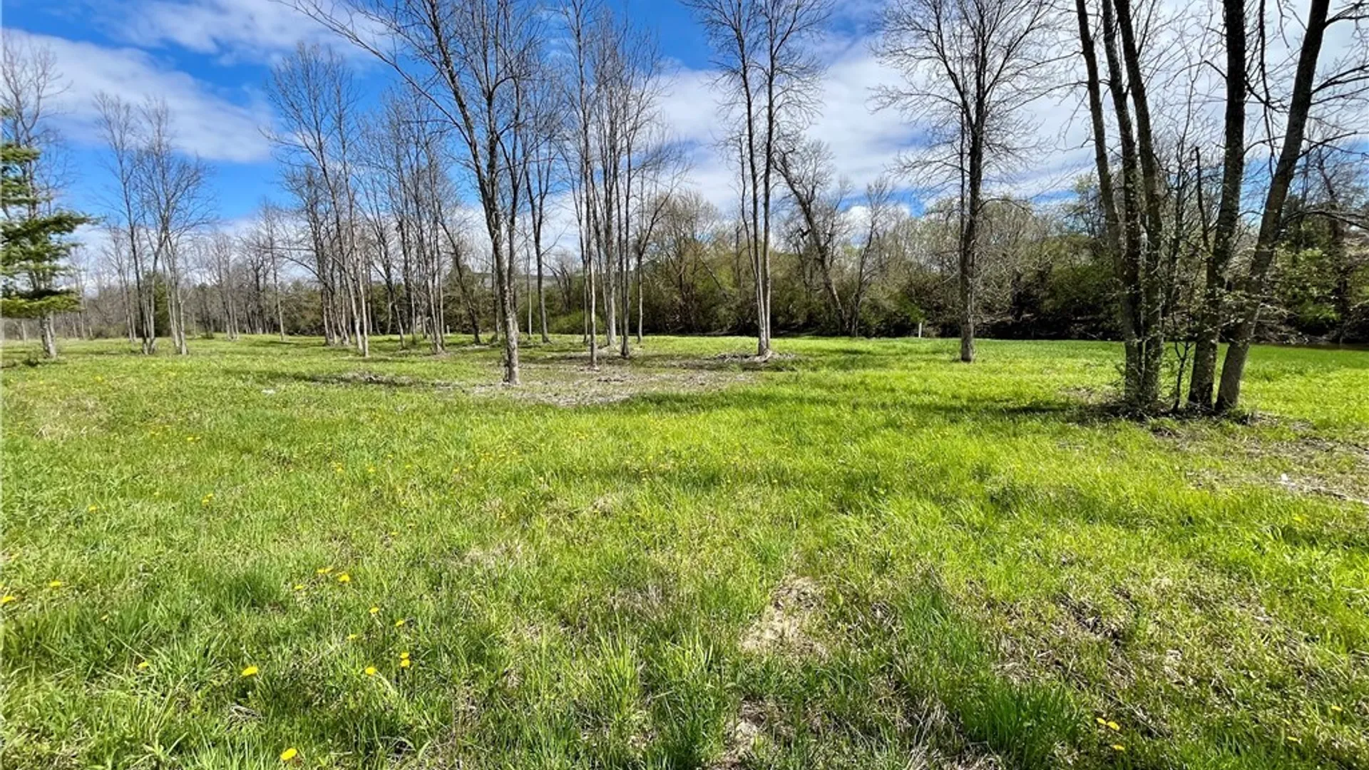 Property at Lot 2C Thompson Trail Drive, Brownville, NY 13634 10