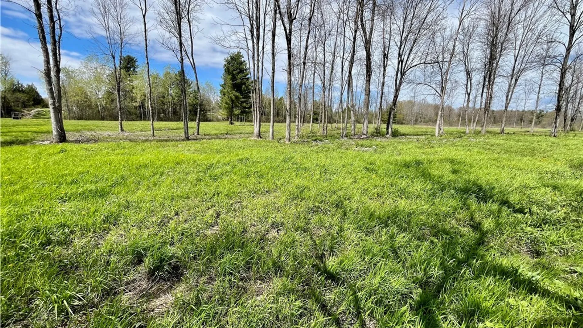 Property at Lot 2C Thompson Trail Drive, Brownville, NY 13634 11
