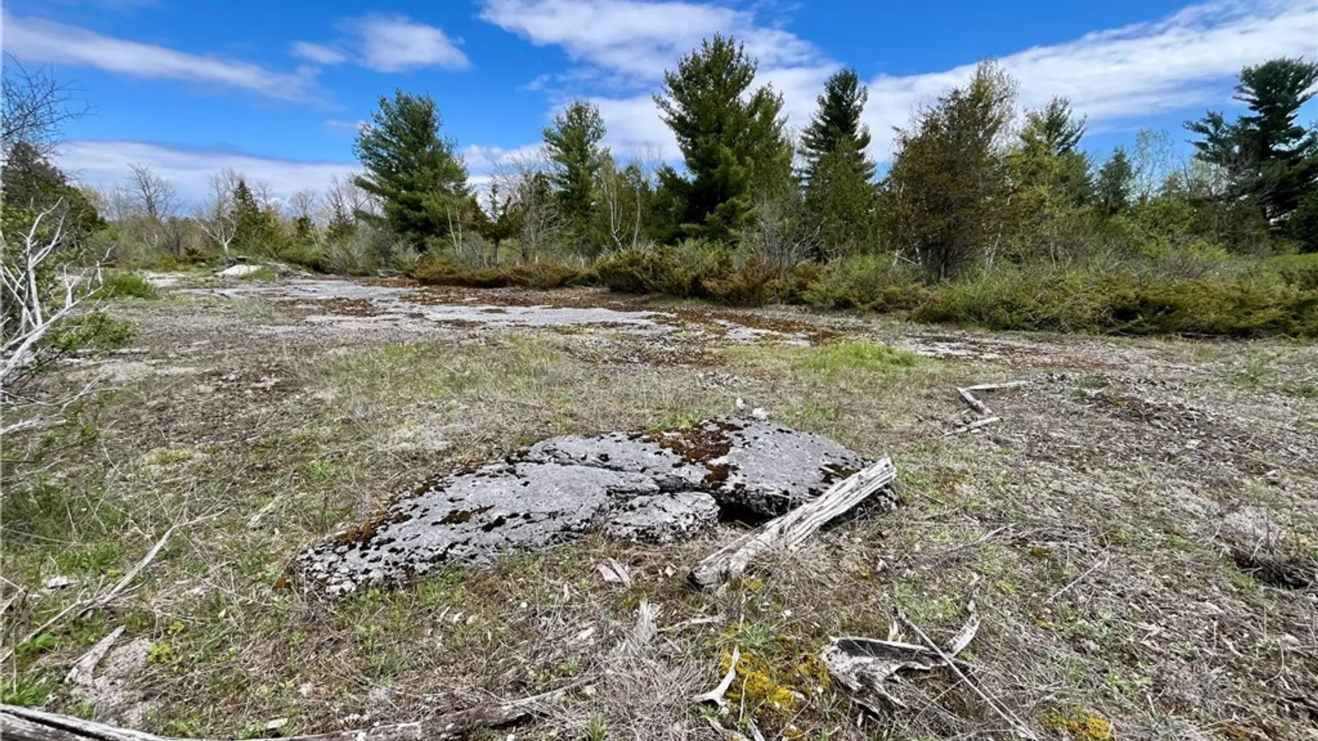 Property at Lot 2D Thompson Trail Drive, Brownville, NY 13634 10