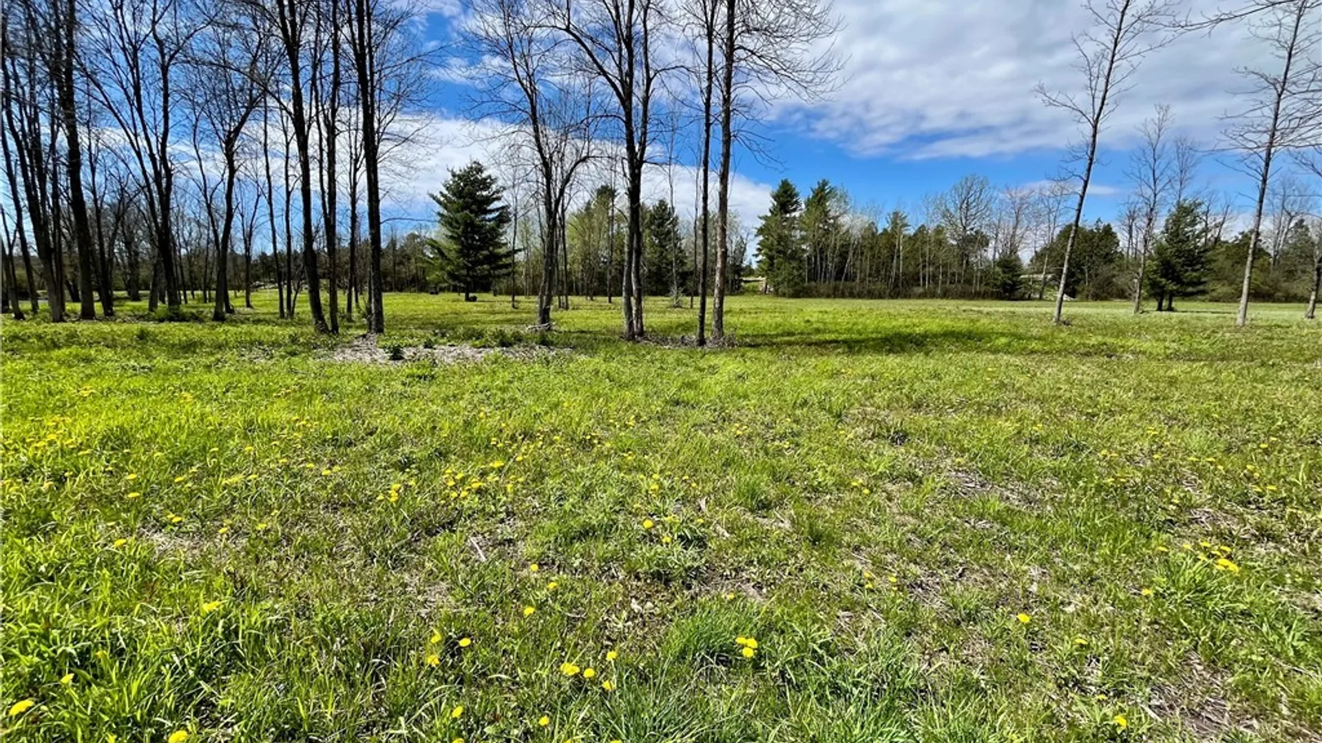 Property at Lot 2D Thompson Trail Drive, Brownville, NY 13634 8