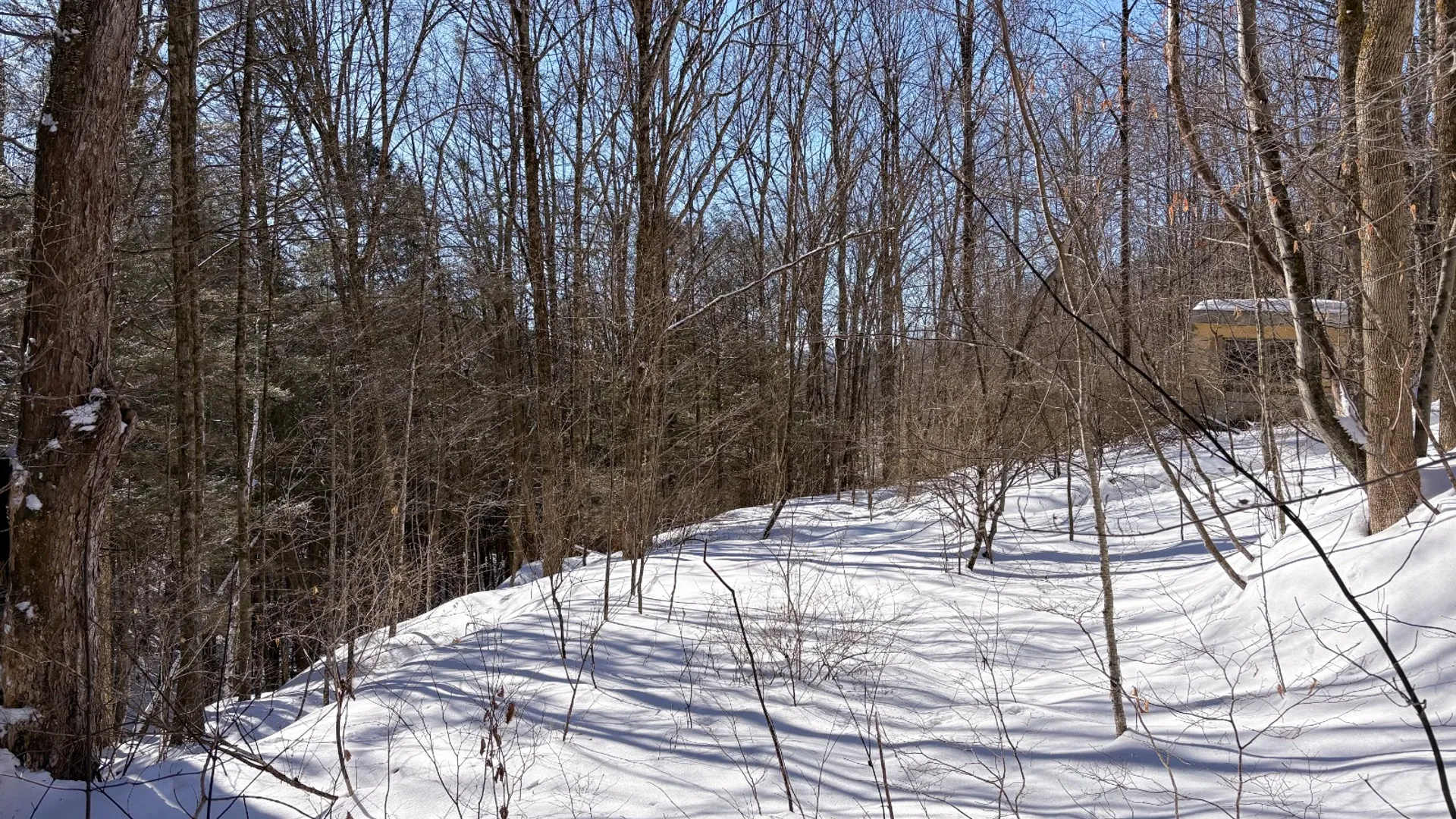 Property at 0 Huntley Hollow Rd, Downsville, NY 13752 11