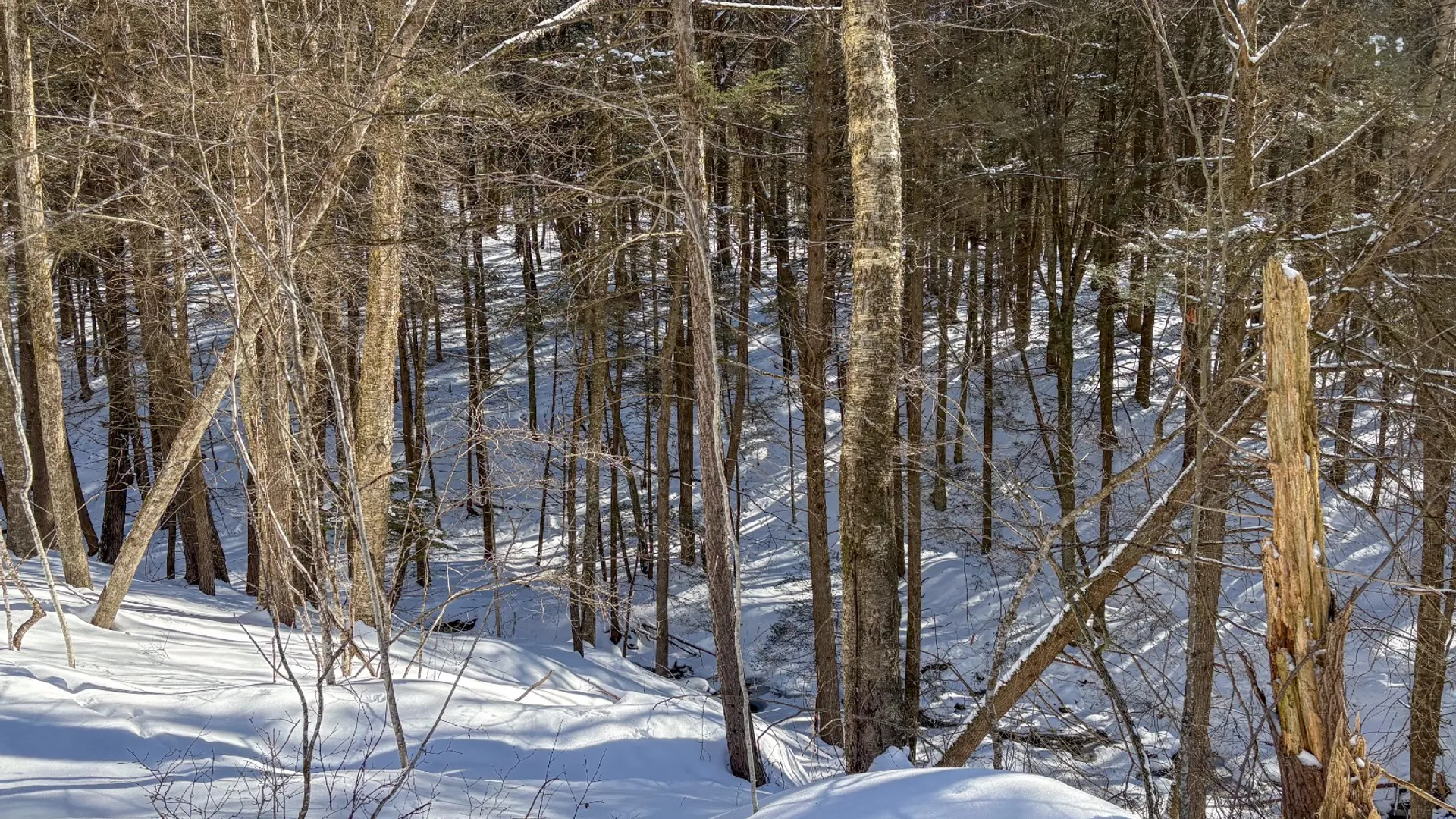 Property at 0 Huntley Hollow Rd, Downsville, NY 13752 14