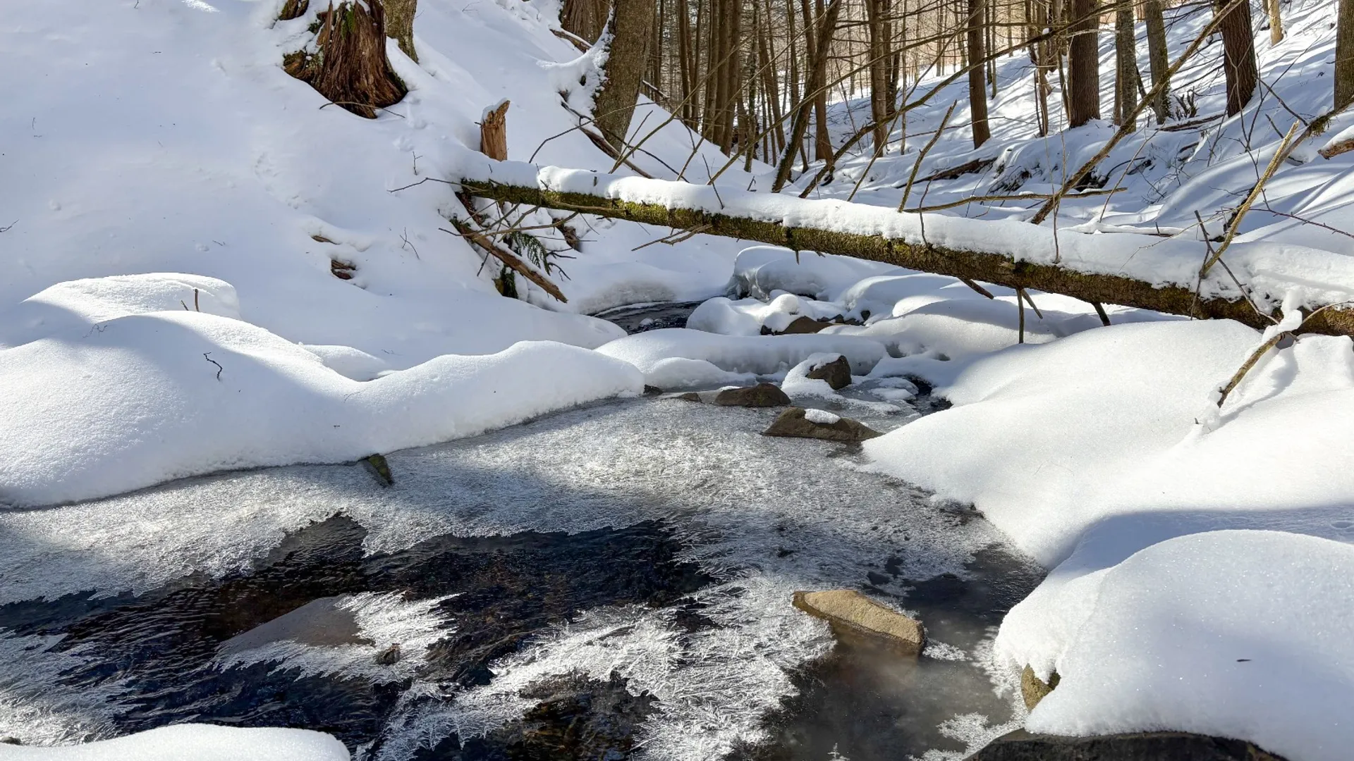 Property at 0 Huntley Hollow Rd, Downsville, NY 13752 19