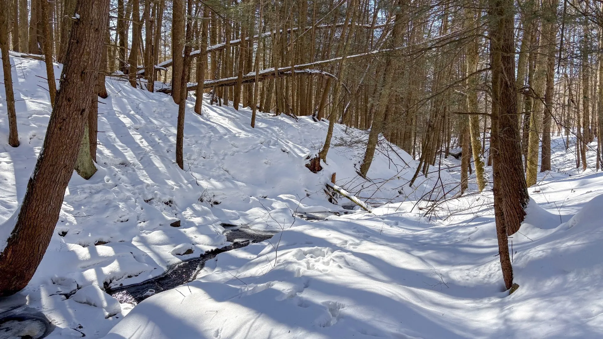 Property at 0 Huntley Hollow Rd, Downsville, NY 13752 21