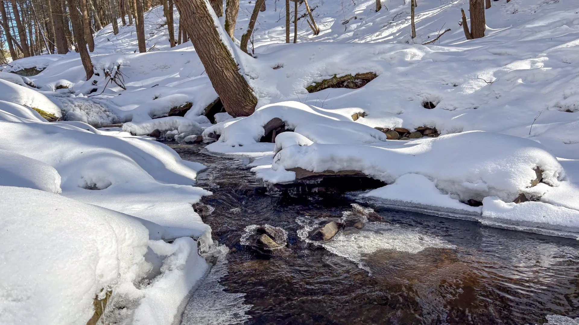 Property at 0 Huntley Hollow Rd, Downsville, NY 13752 3