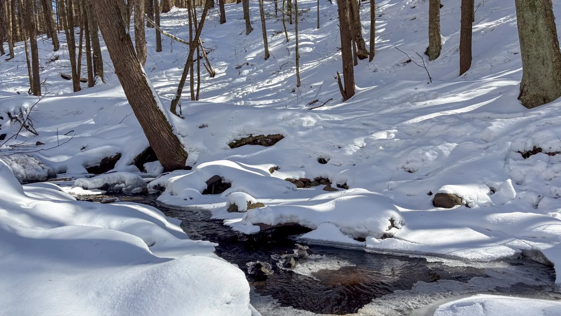 Property at 0 Huntley Hollow Rd, Downsville, NY 13752 4