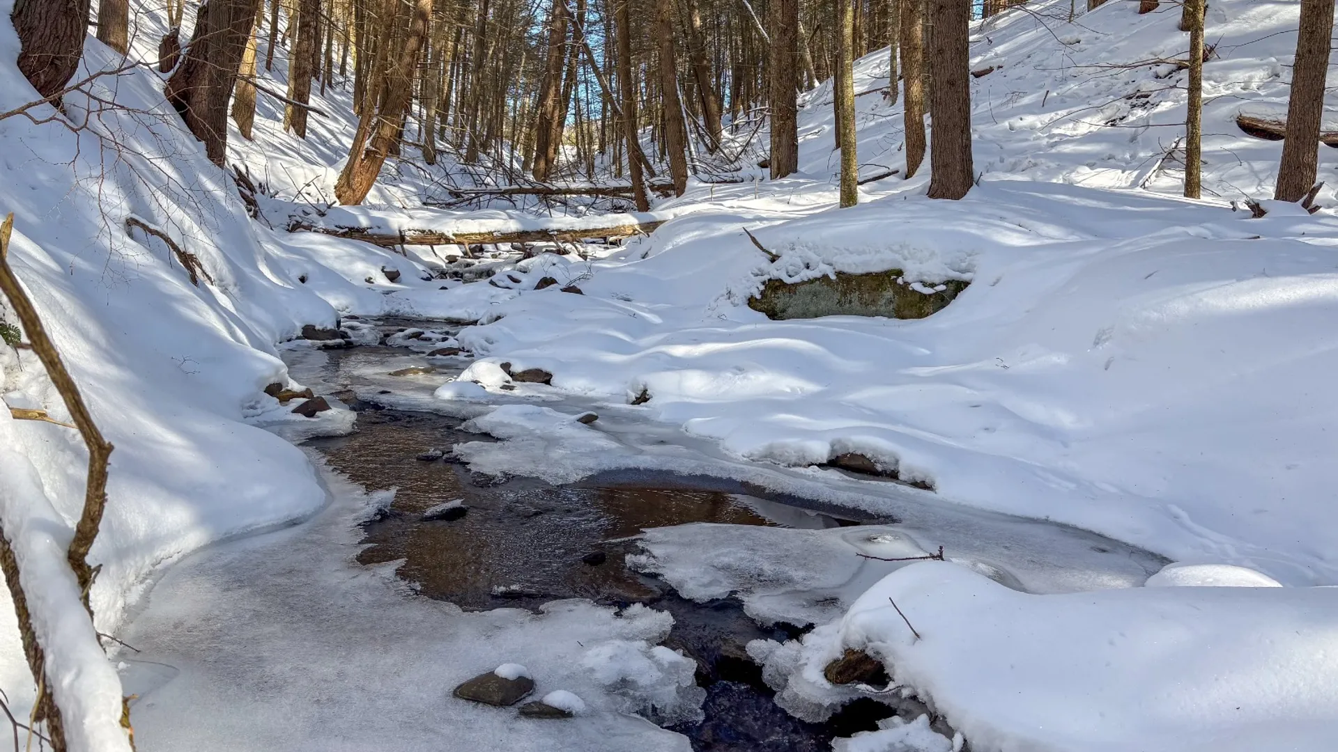 Property at 0 Huntley Hollow Rd, Downsville, NY 13752 5