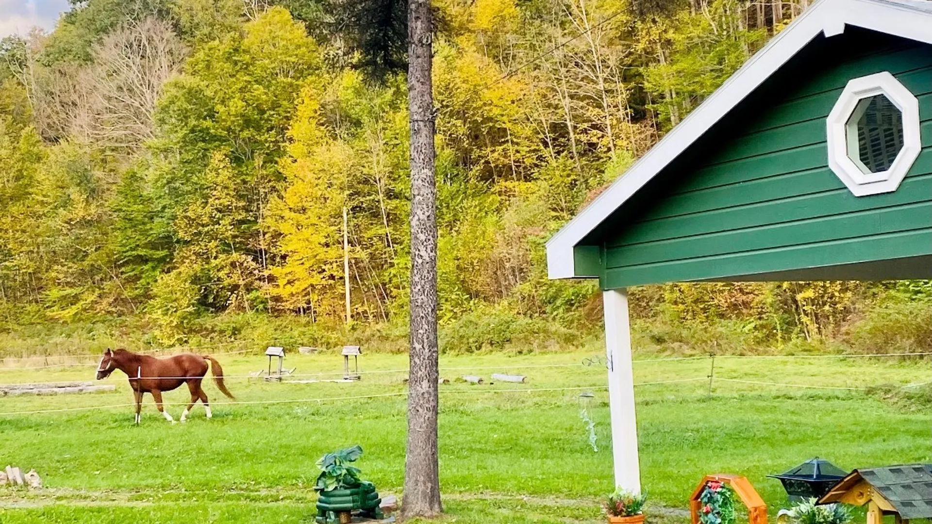 Property at 238 Diamond Notch Rd, Lanesville, NY 12450 34