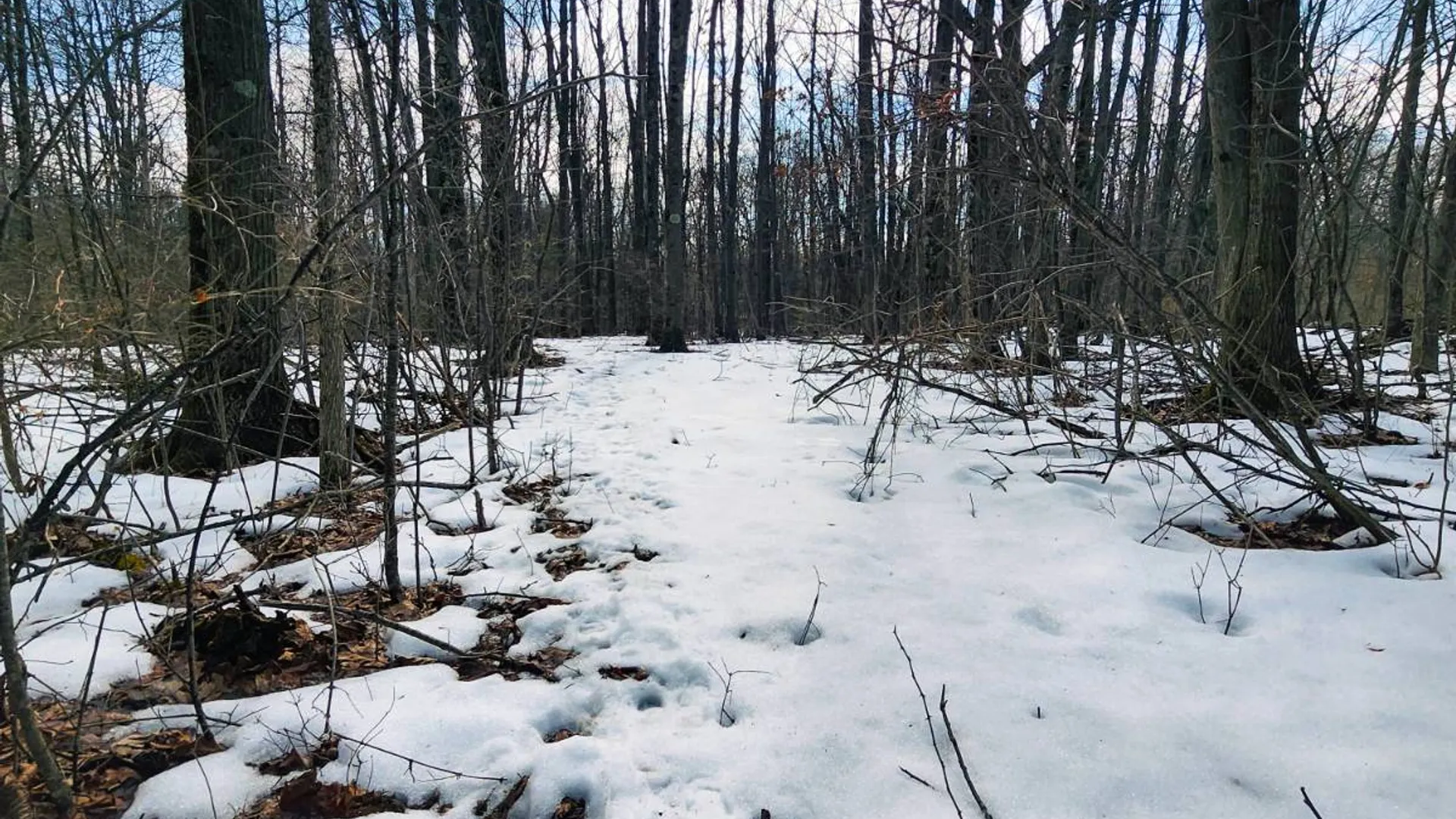 Property at 00WP Township Rd, Altamont, NY 12009 10
