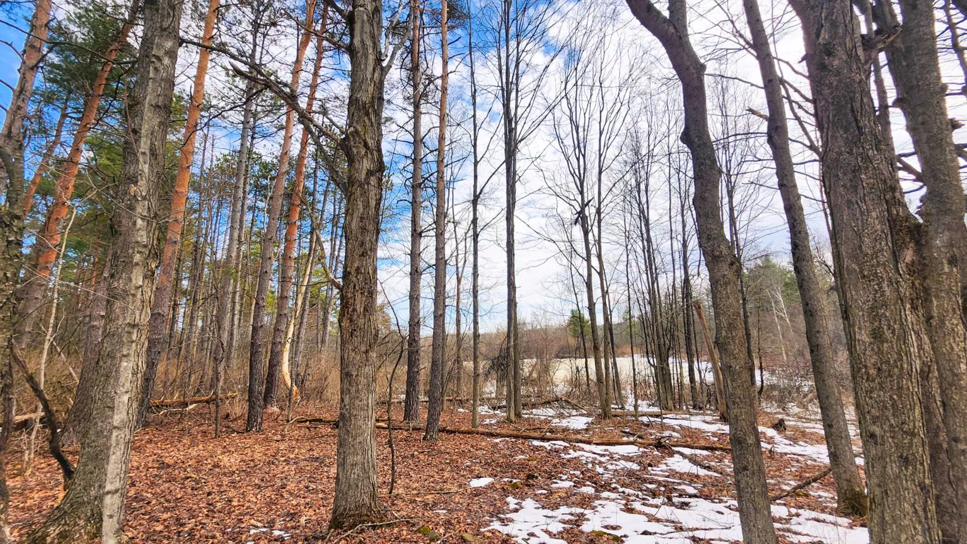 Property at 00WP Township Rd, Altamont, NY 12009 15