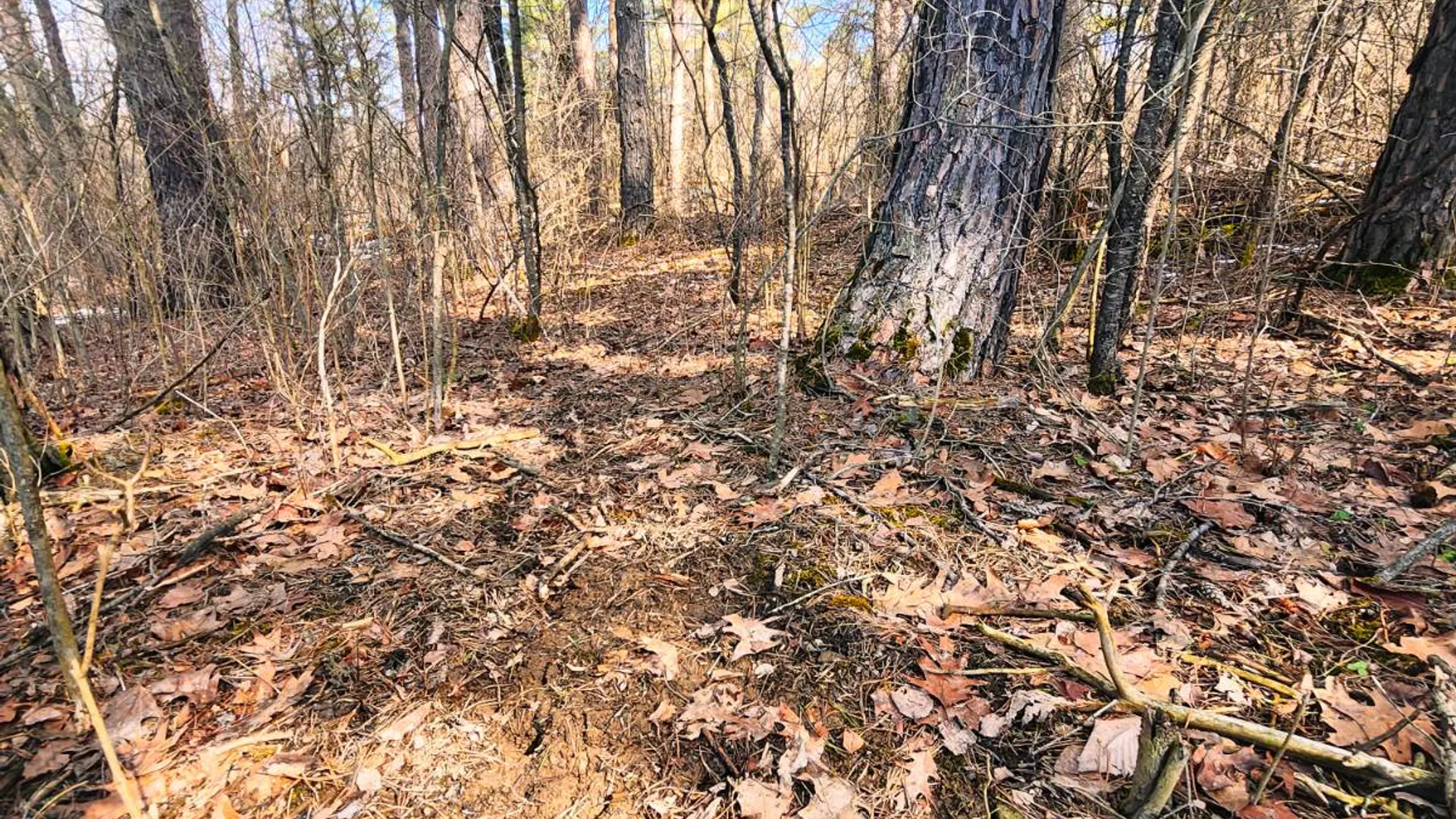 Property at 00WP Township Rd, Altamont, NY 12009 18