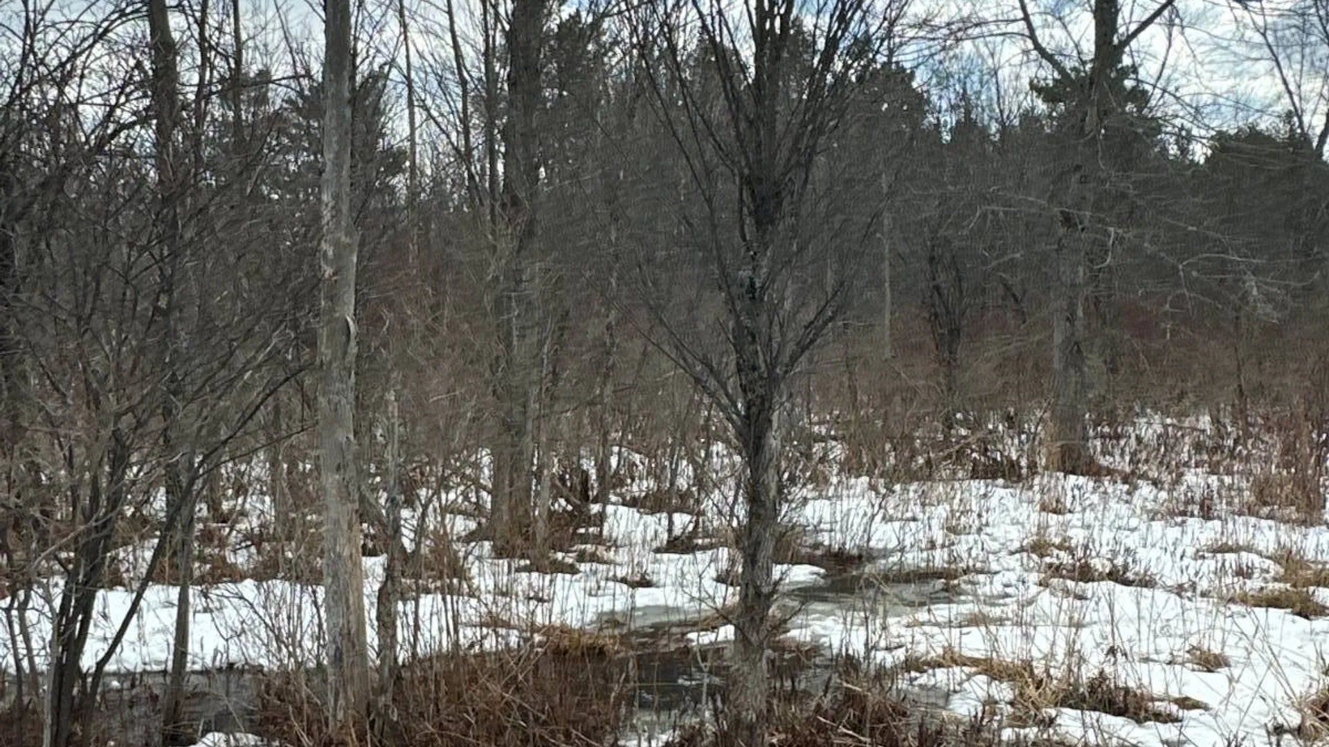 Property at 00WP Township Rd, Altamont, NY 12009 20