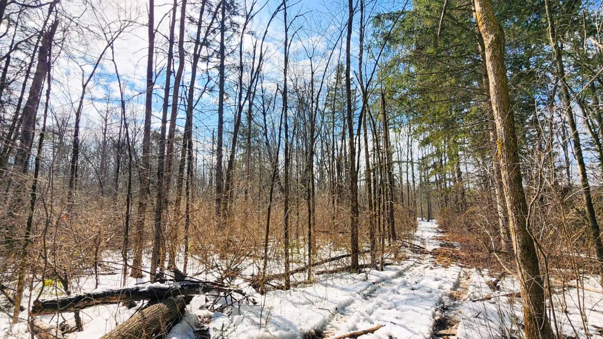 Property at 00WP Township Rd, Altamont, NY 12009 5
