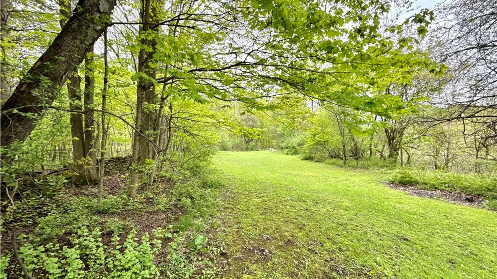 Property at 42 Lacelle Drive, Orwell, NY 13144 10