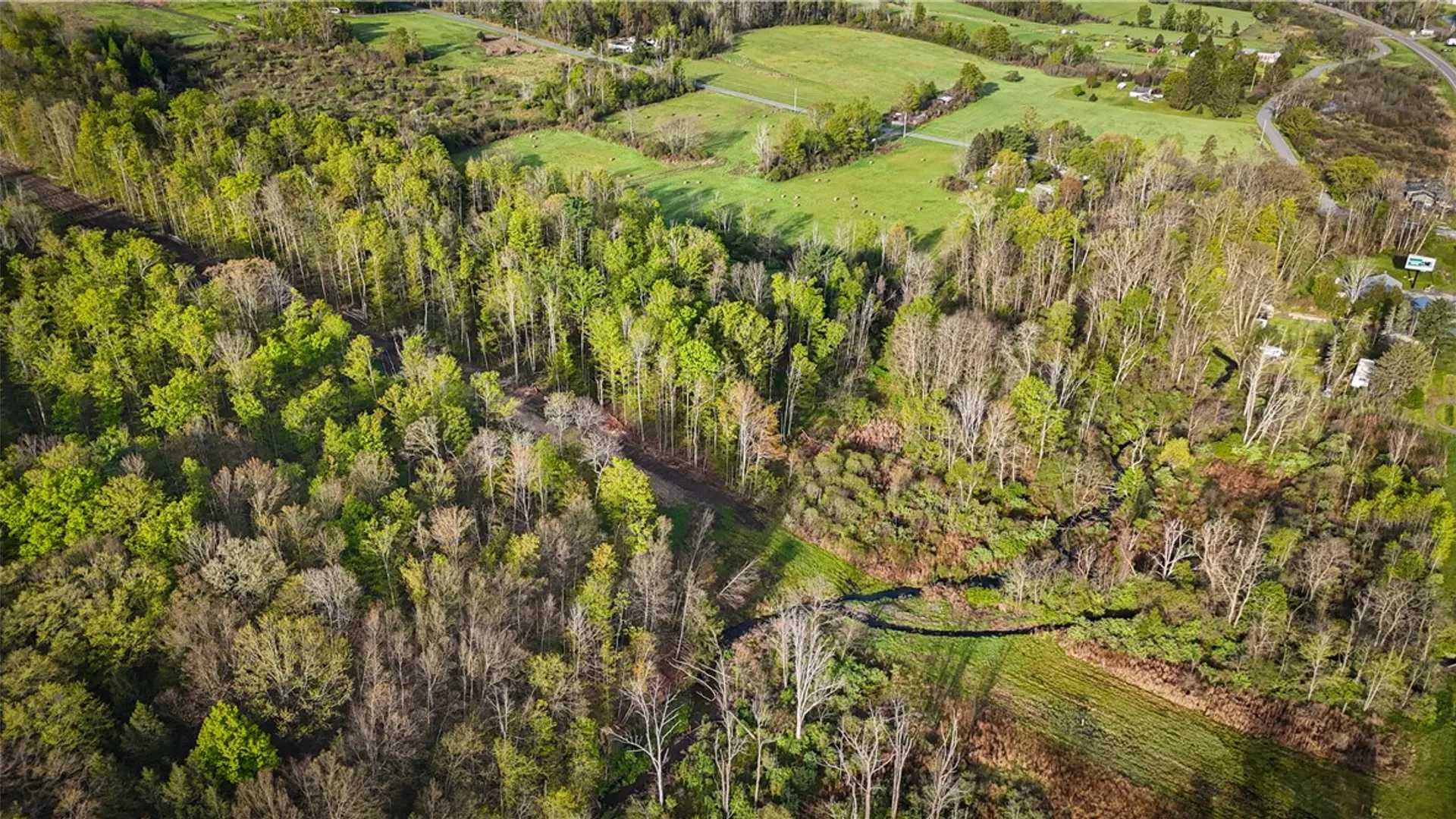 Property at Rt-414, Dix, NY 14891 12