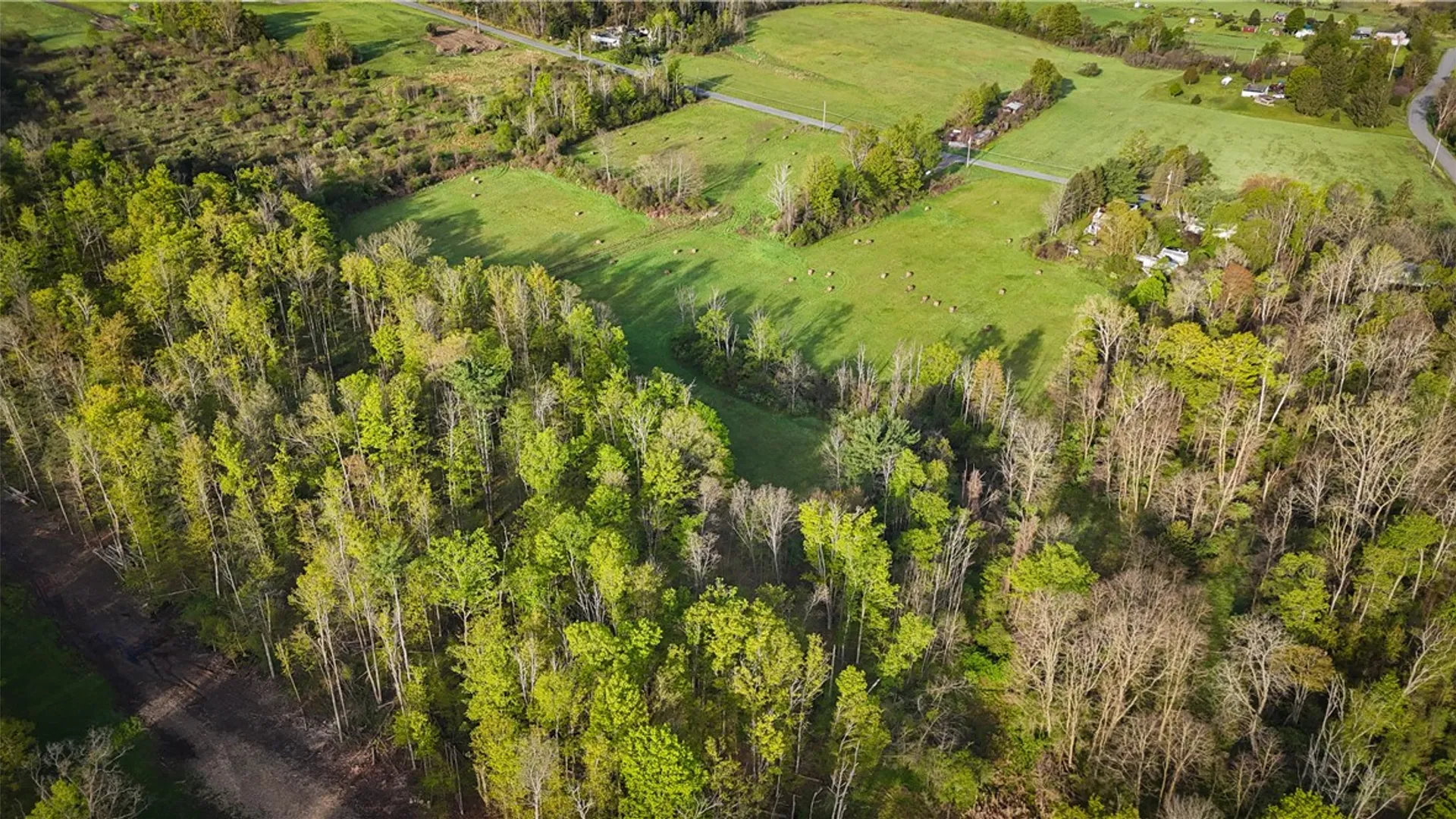 Property at Rt-414, Dix, NY 14891 13