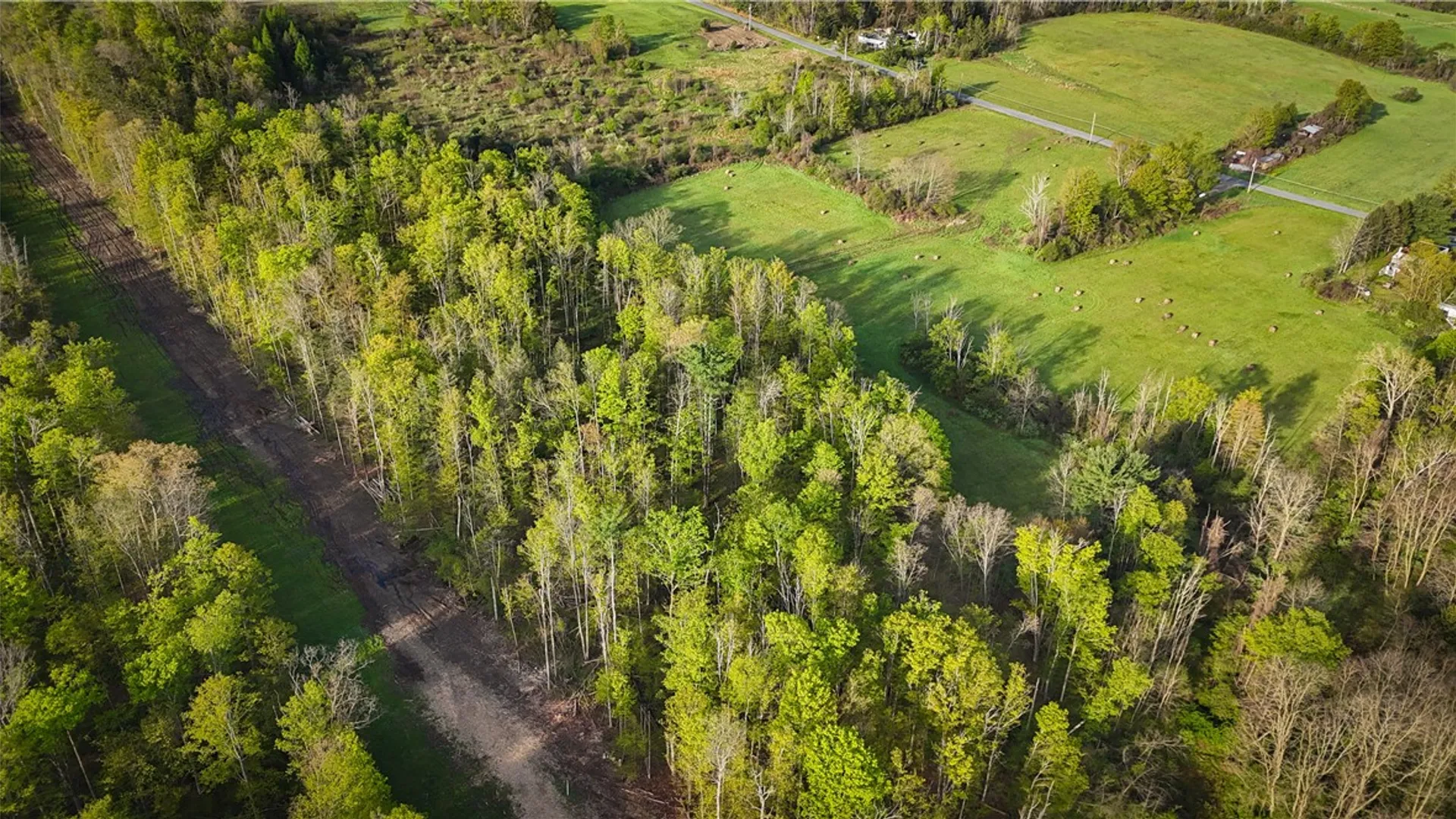 Property at Rt-414, Dix, NY 14891 14