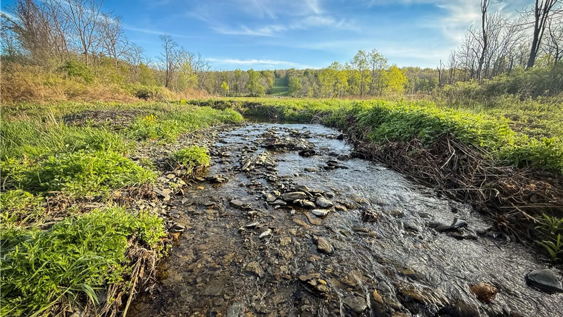 Property at Rt-414, Dix, NY 14891 2