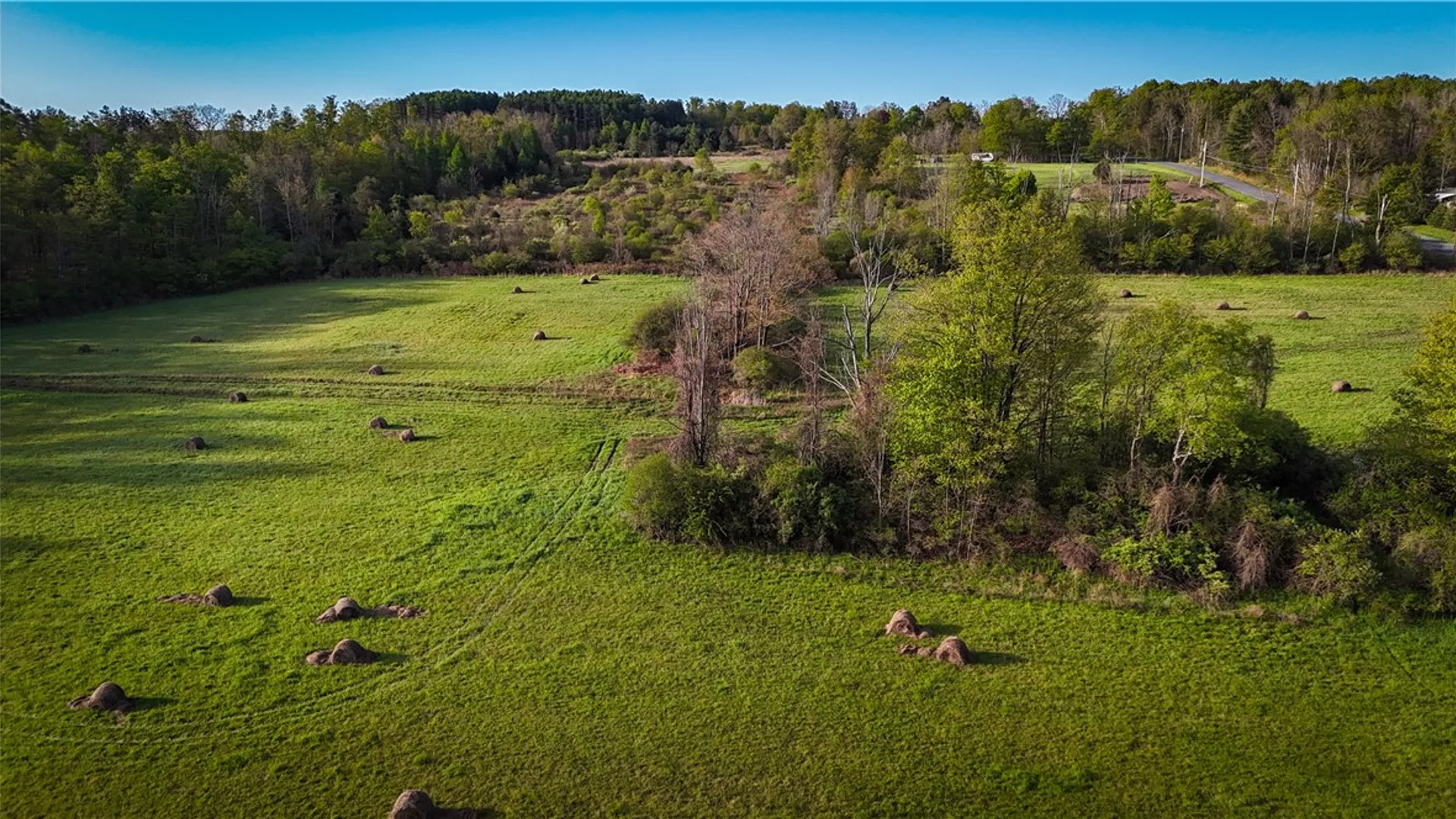 Property at Rt-414, Dix, NY 14891 21