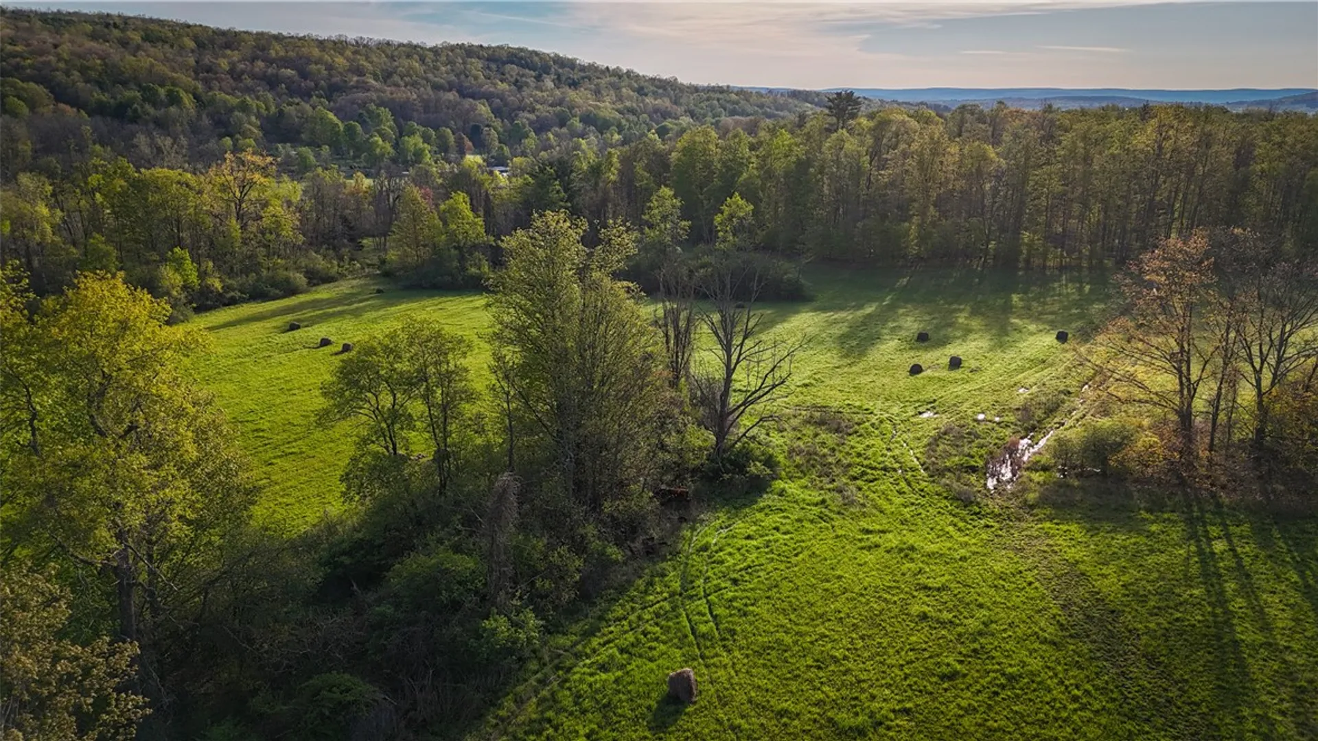 Property at Rt-414, Dix, NY 14891 24
