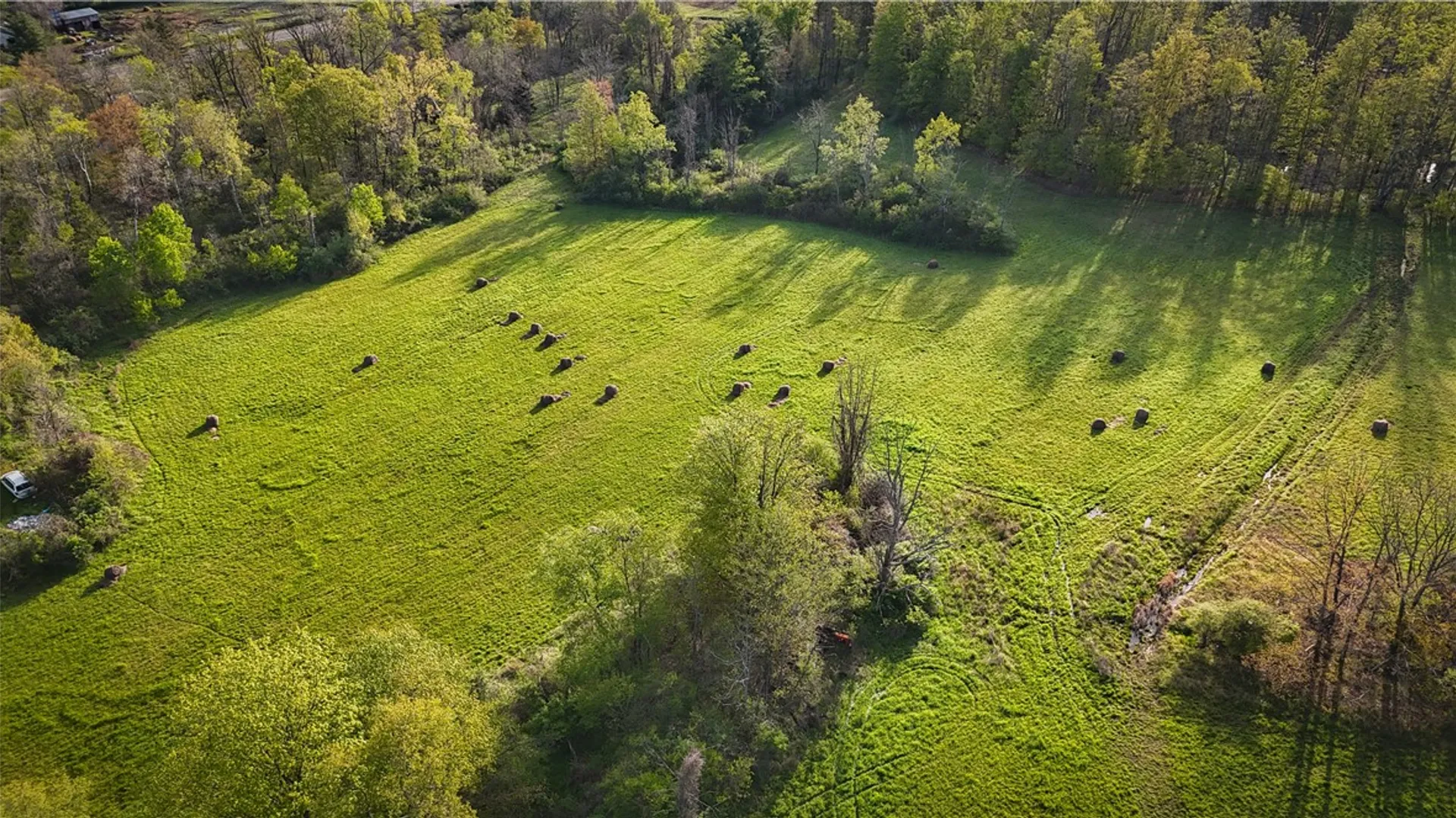 Property at Rt-414, Dix, NY 14891 25