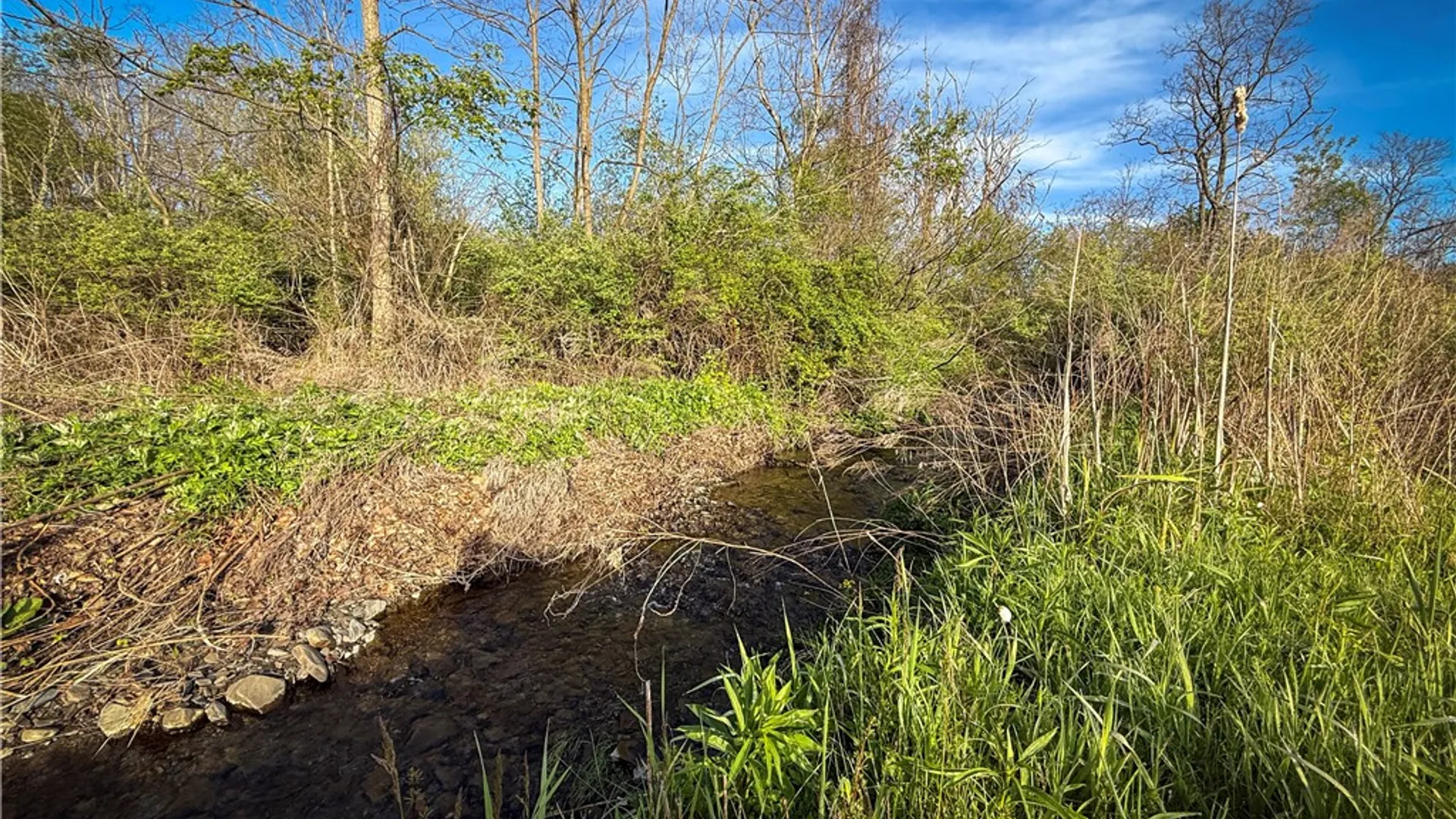 Property at Rt-414, Dix, NY 14891 26