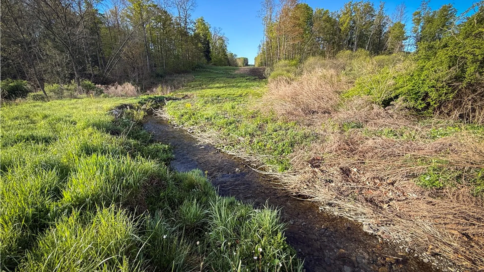 Property at Rt-414, Dix, NY 14891 27