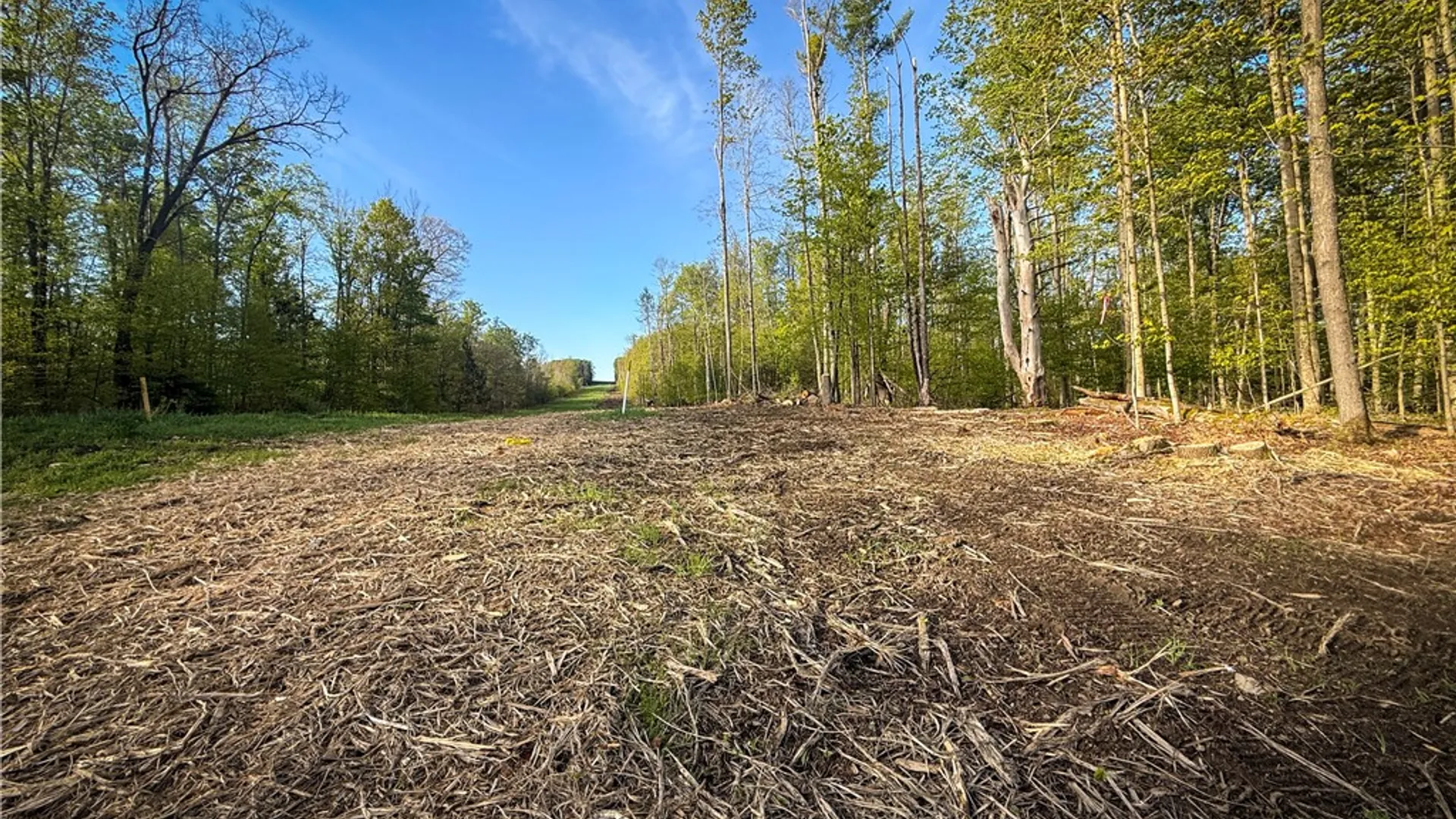 Property at Rt-414, Dix, NY 14891 31