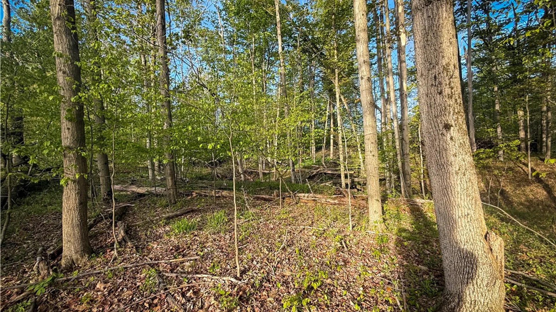 Property at Rt-414, Dix, NY 14891 32