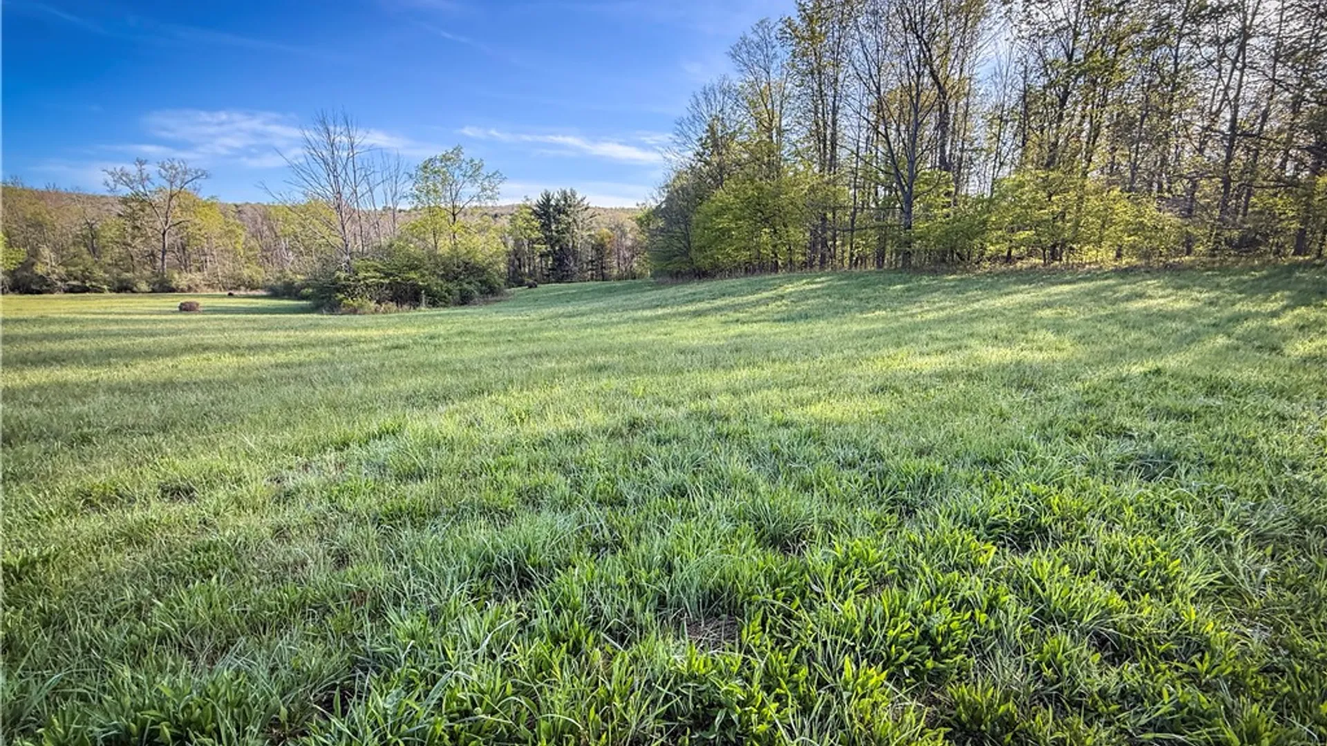 Property at Rt-414, Dix, NY 14891 43