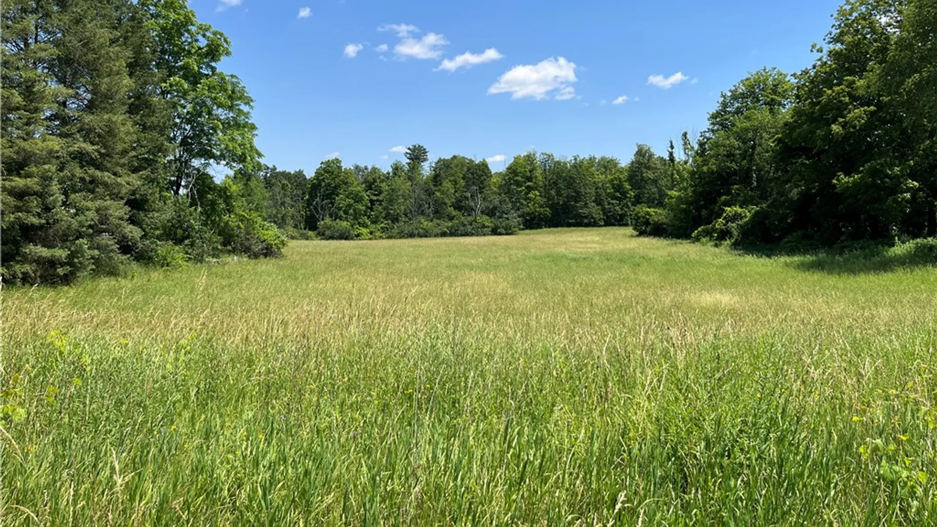 Property at Rt-414, Dix, NY 14891 5