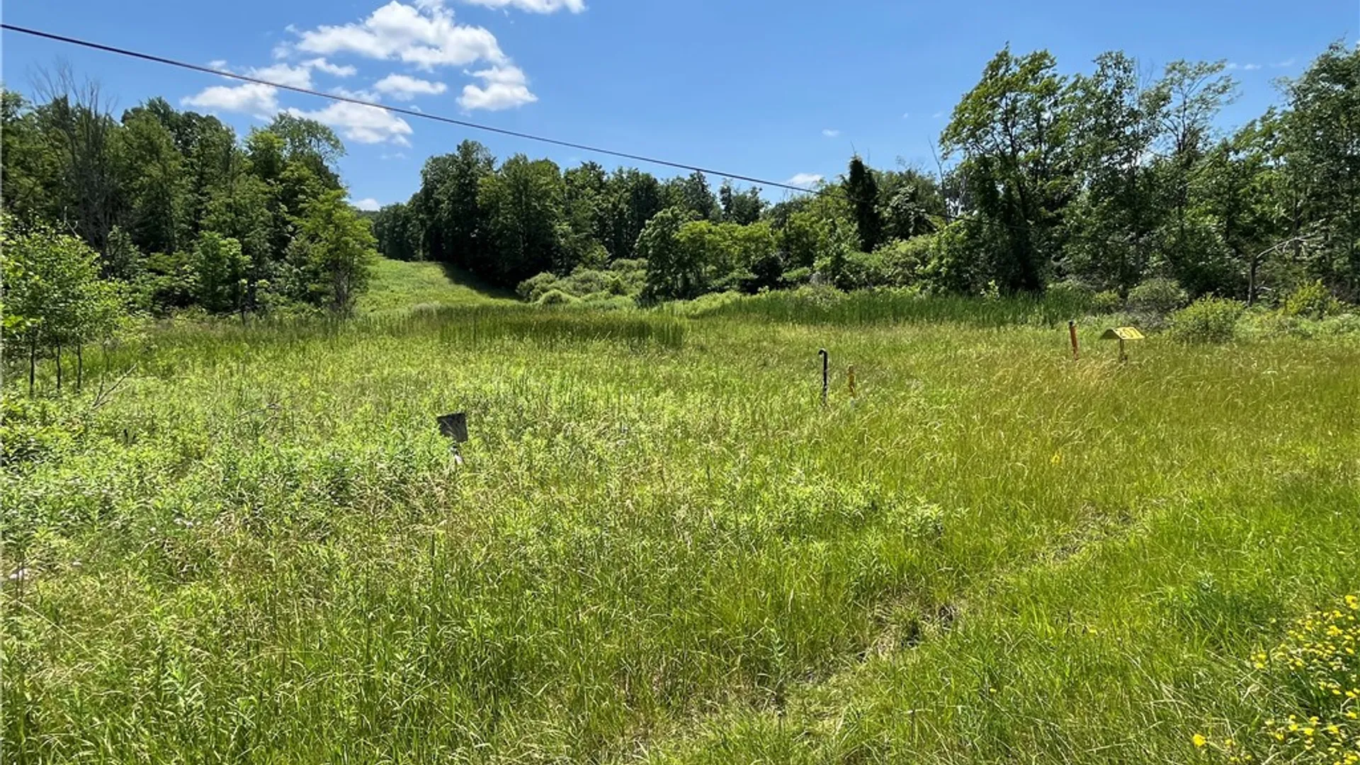 Property at Rt-414, Dix, NY 14891 6