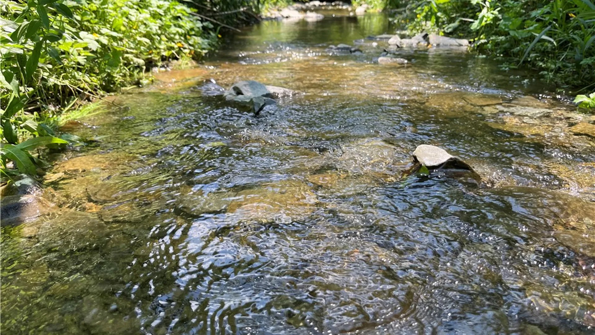 Property at Rt-414, Dix, NY 14891 9