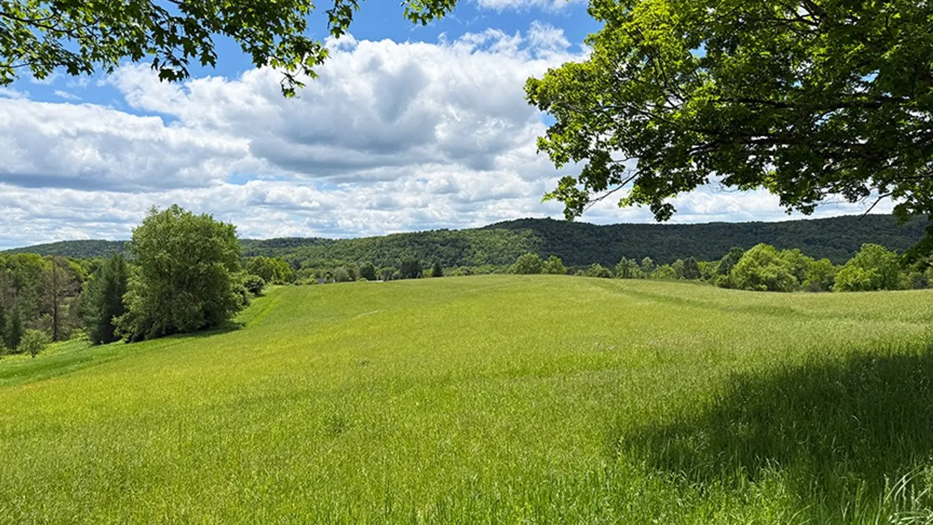 Property at L2 Hoke Rd, Fly Creek, NY 13337 3