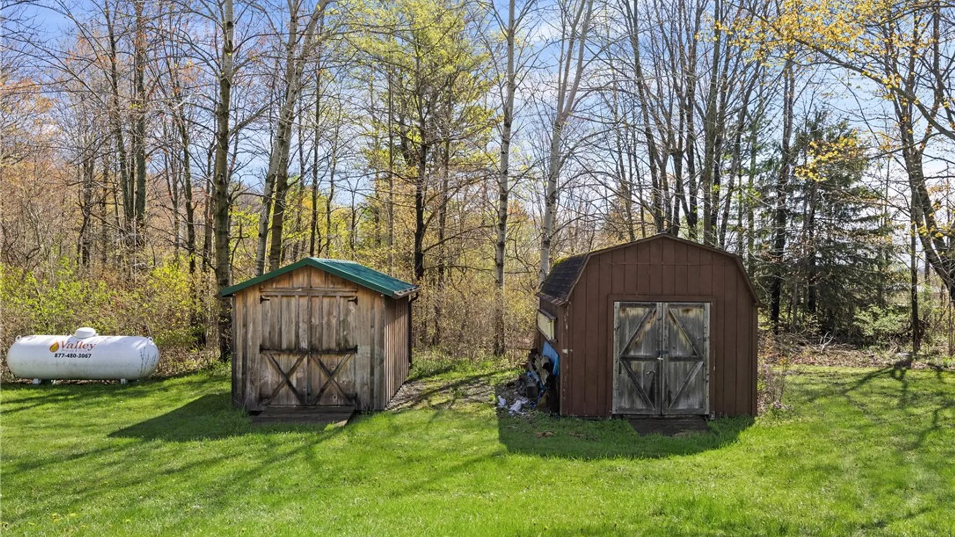 Property at 6835 Mead Hill Road, Springwater, NY 14572 35