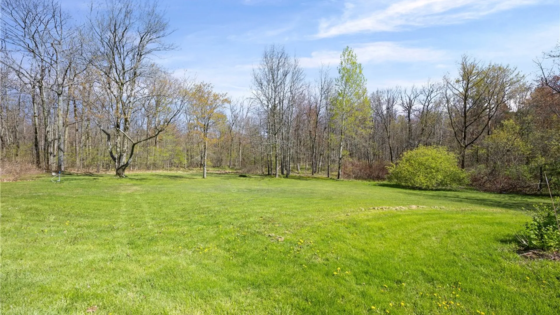 Property at 6835 Mead Hill Road, Springwater, NY 14572 36
