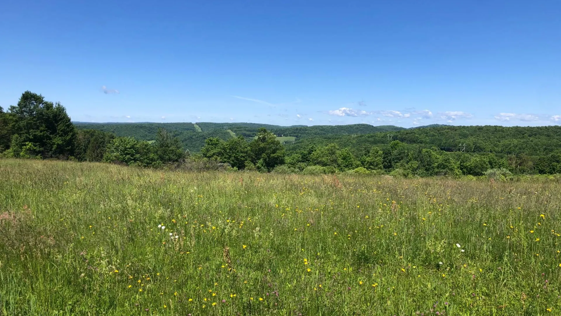 Property at 368 Ridge Rd, Hamden, NY 13782 11