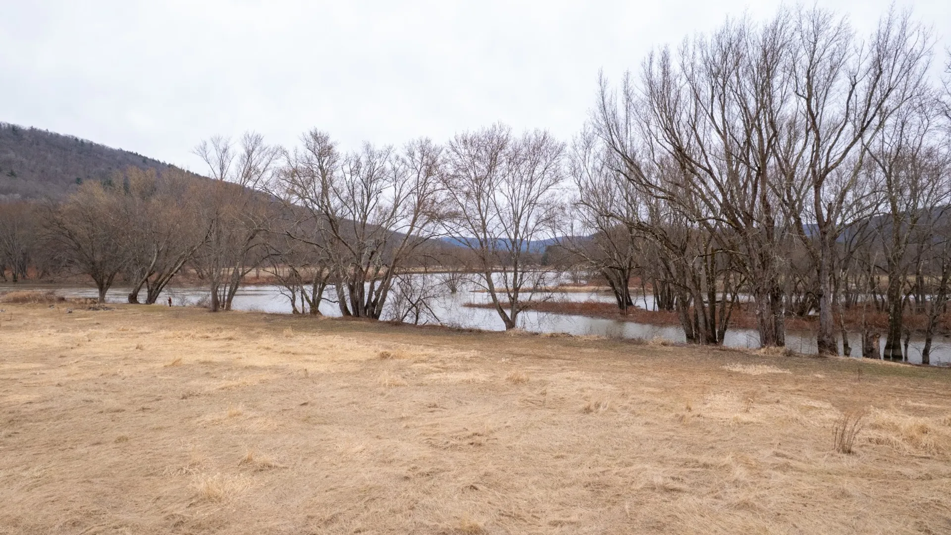 Property at 821 State Line Rd, Windsor, NY 13865 12