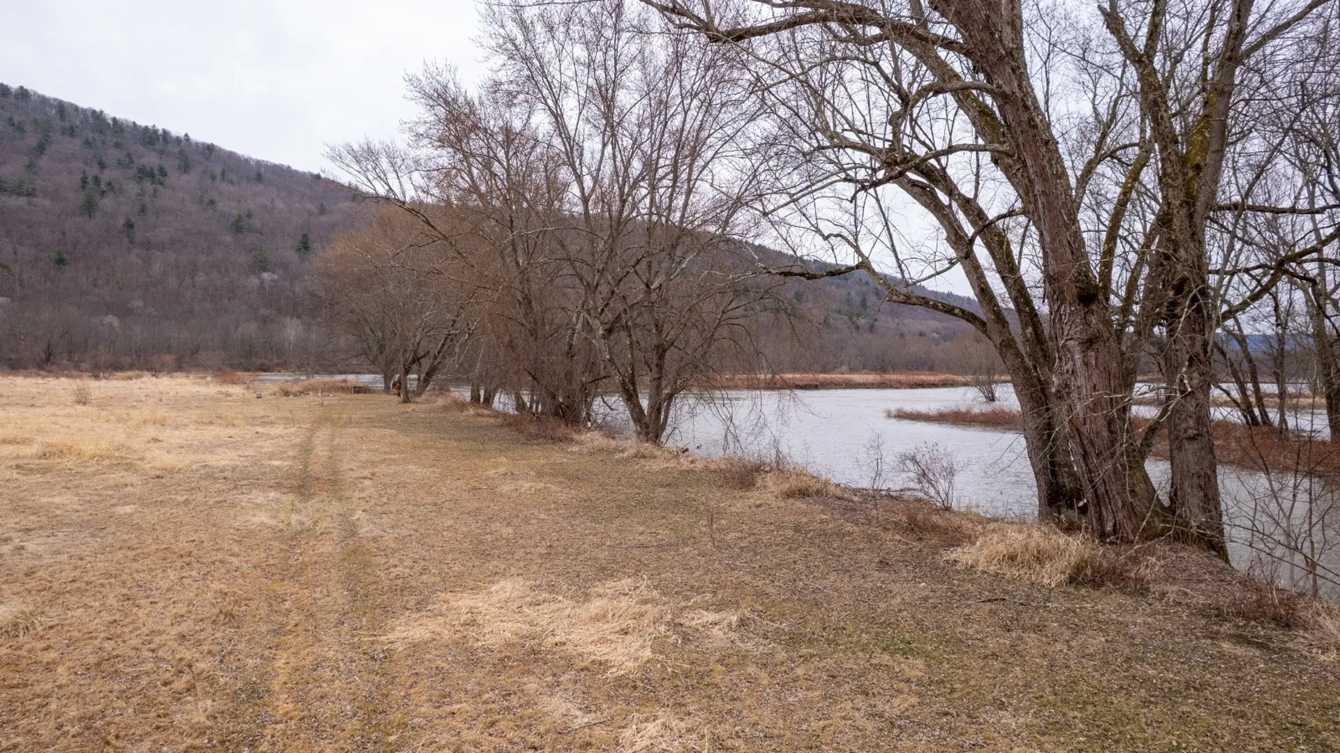 Property at 821 State Line Rd, Windsor, NY 13865 13