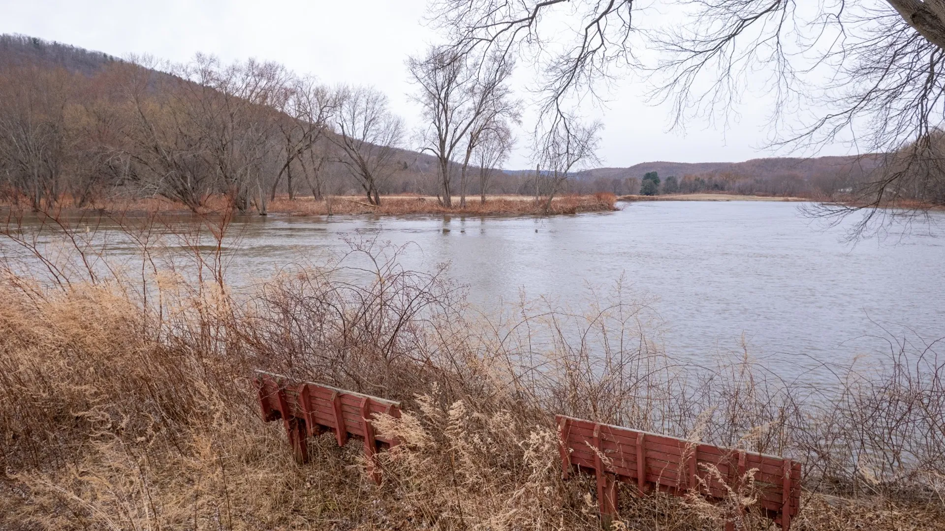 Property at 821 State Line Rd, Windsor, NY 13865 17